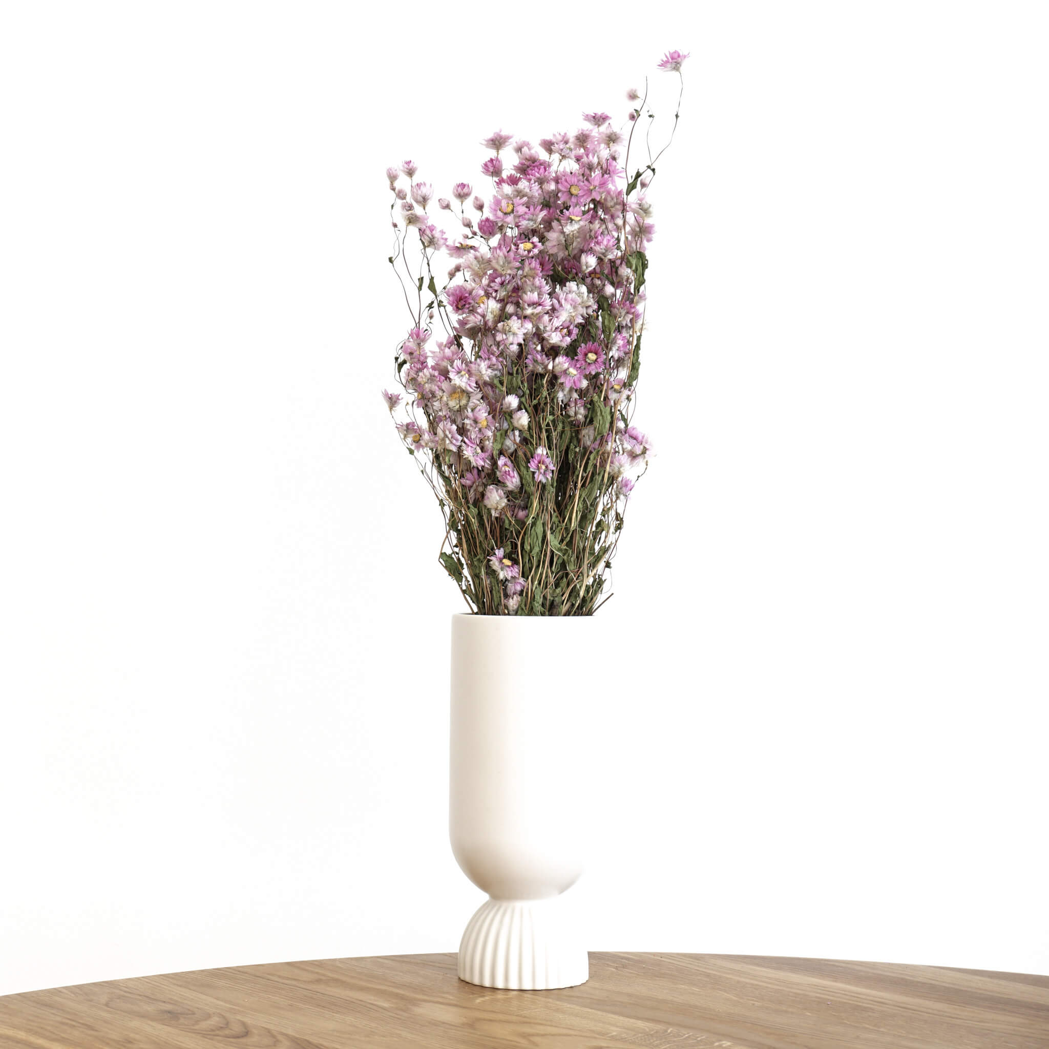 getrocknete Rodanthe | rosa | 50 cm - Farbe: rosa