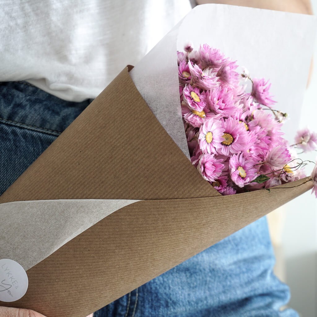 getrocknete Rodanthe |rosa | 50 cm - Farbe: rosa, weiß