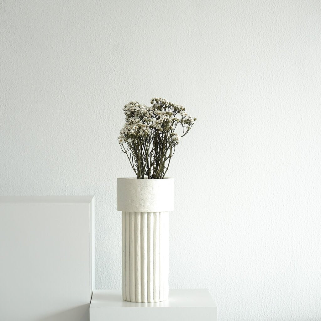 Gänseblümchen getrocknet | Dried Daisies | weiß - Farbe: weiß