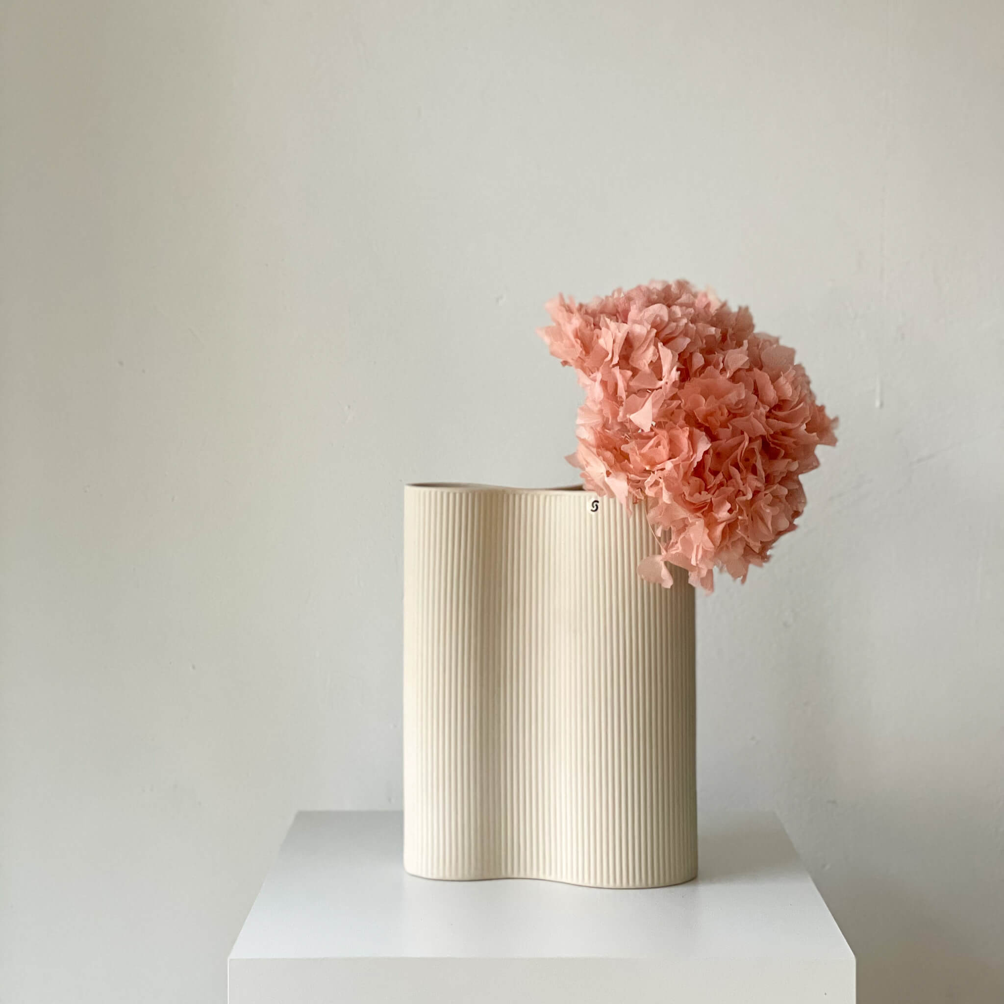 Hortensien konserviert | viele Farben | tolle Blüte | 30cm - Farbe: rose