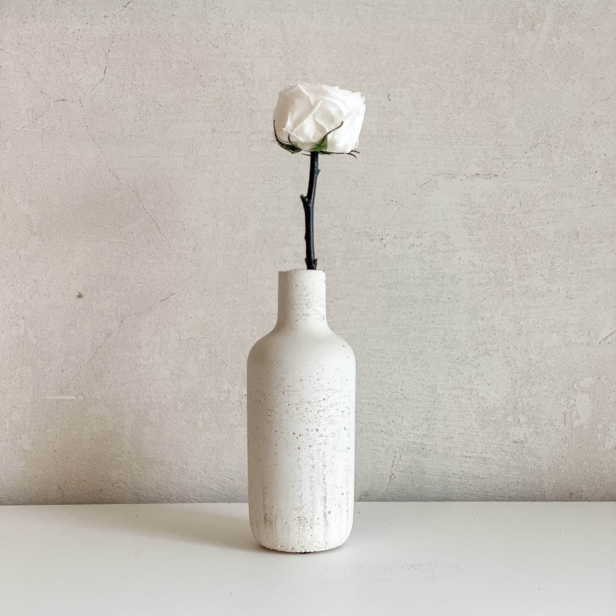 Konservierte englische Rose | 30 cm | edel | haltbar - Größe: 1x, 3x - Farbe: weiß