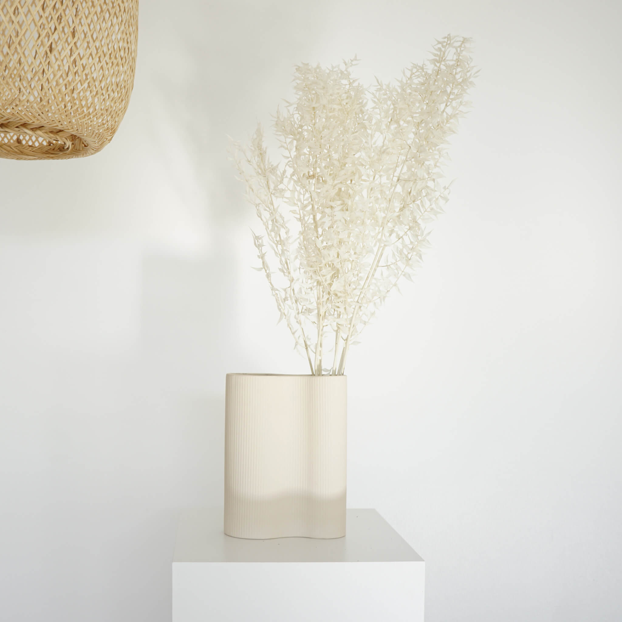 Ruskus | 60-75 cm | weiß | perfekt für Trockenblumensträuße - Größe: 1x, 2x, 5x