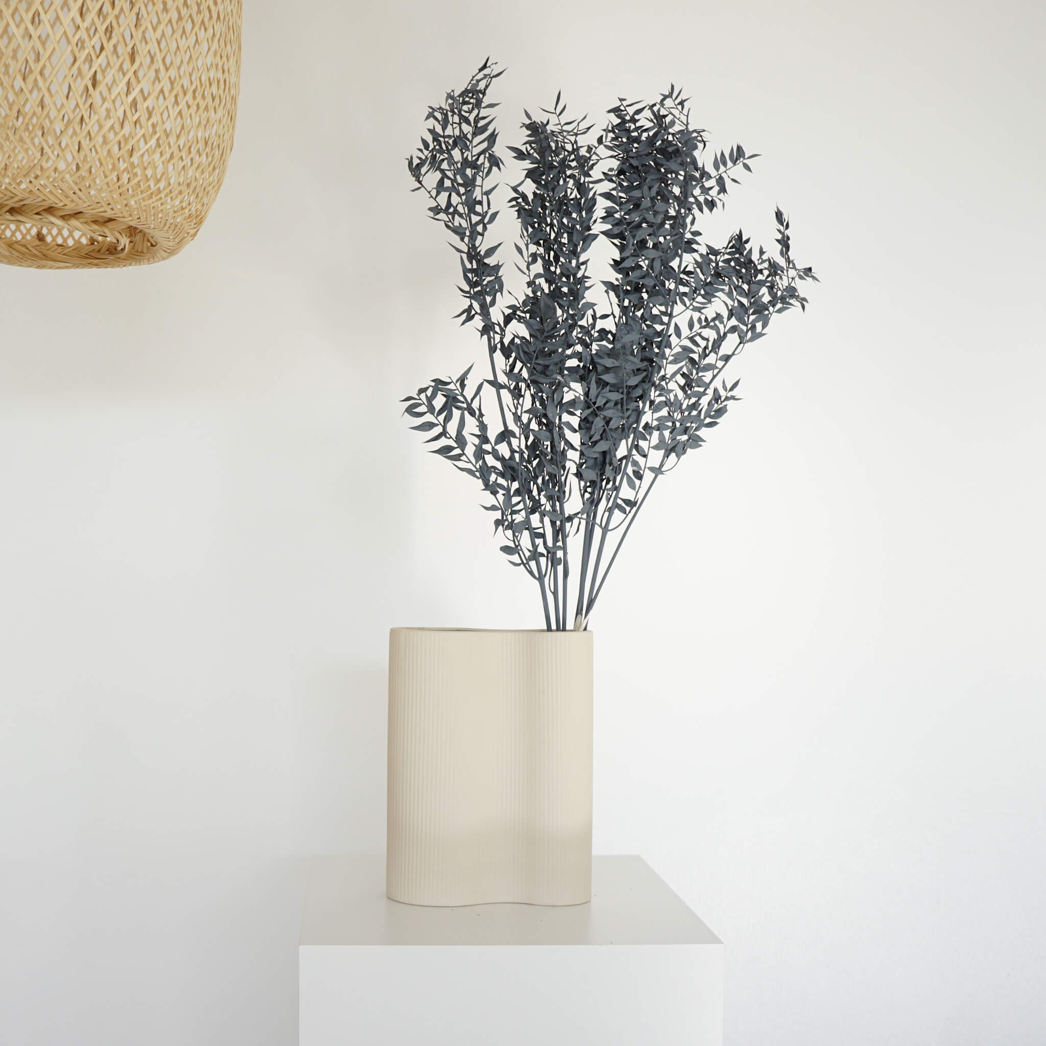 Ruskus | 60-75 cm | grau | perfekt für Trockenblumensträuße - Größe: 1x