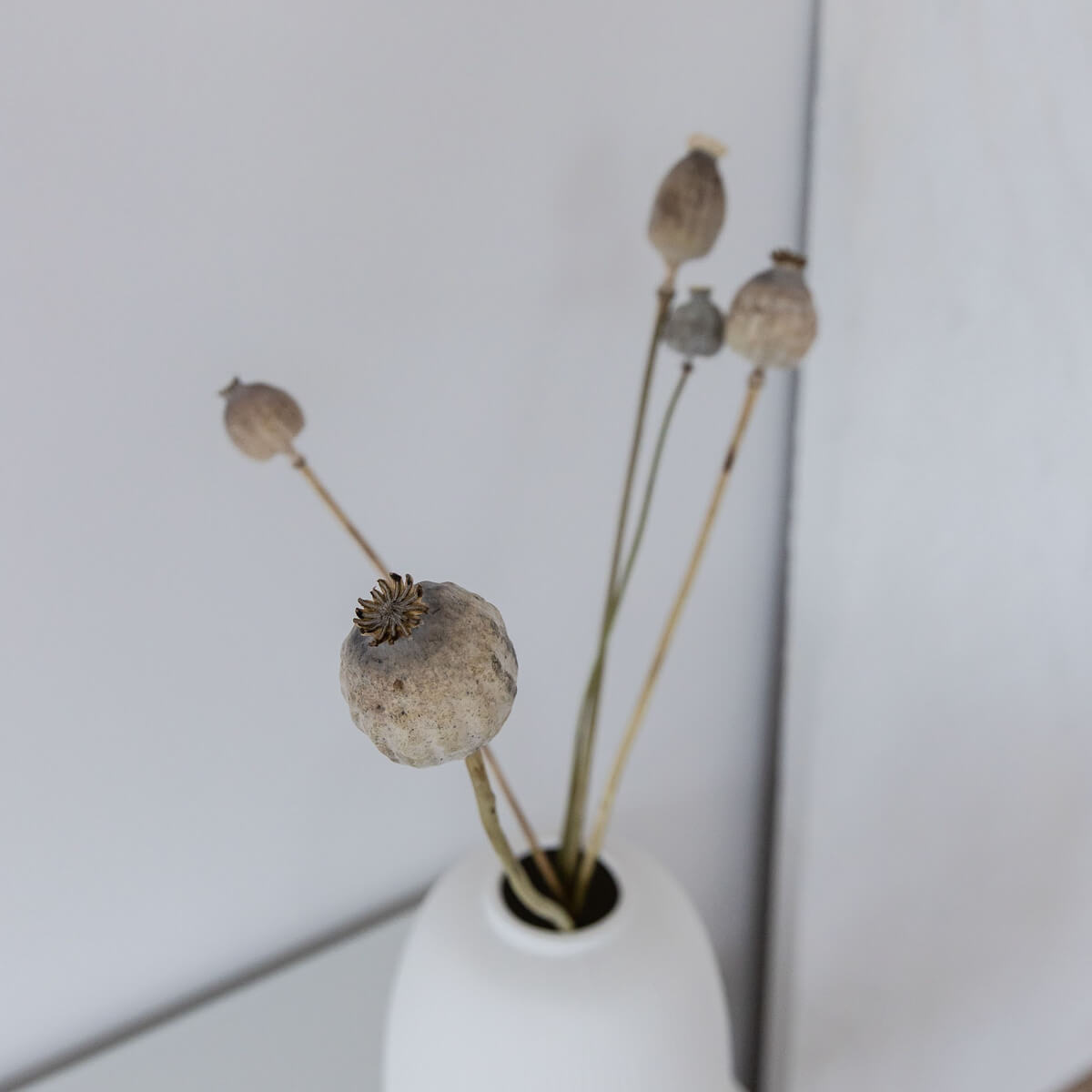 weiß ; 12 cm x 25 cm