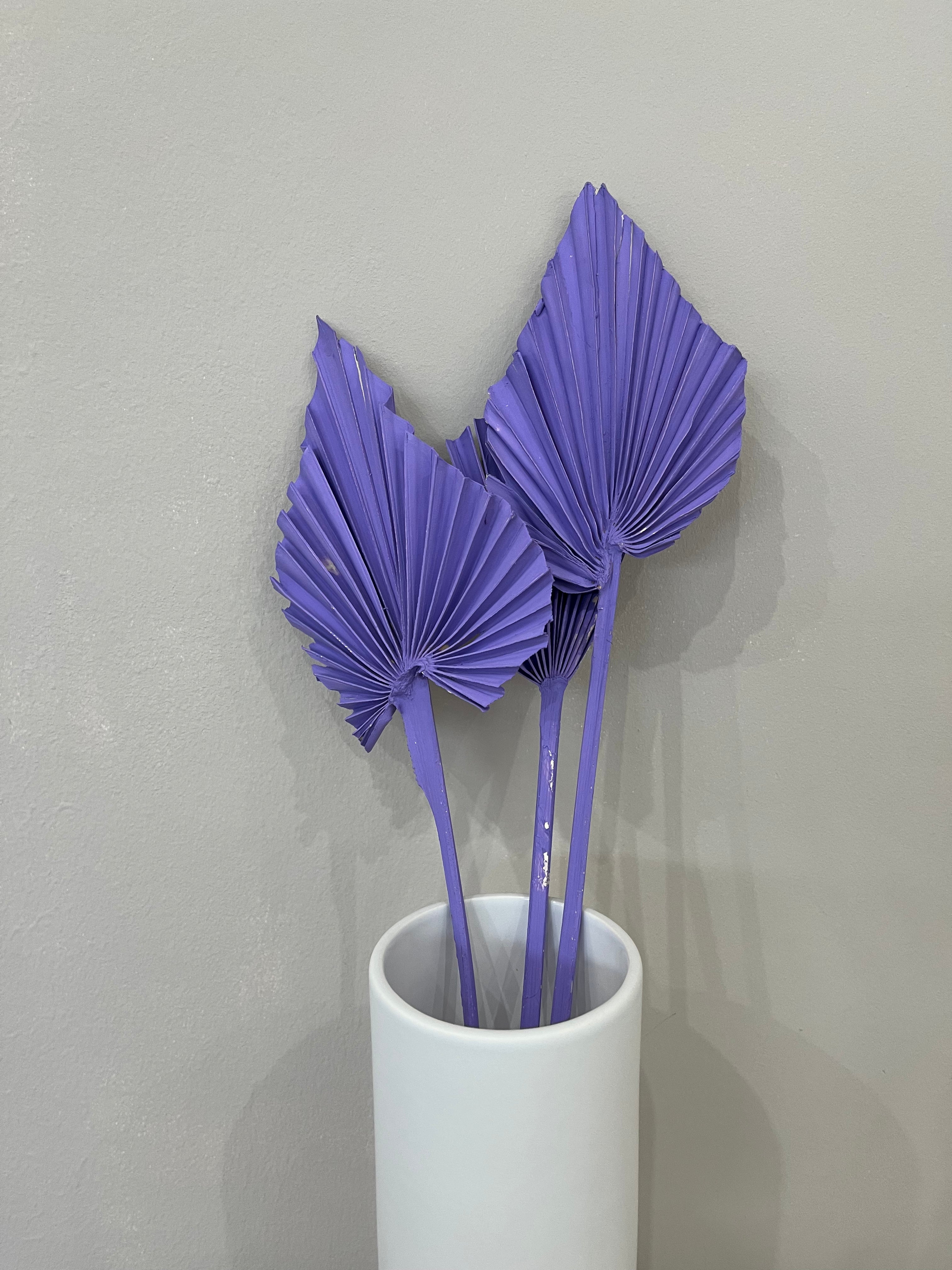 Palm spears