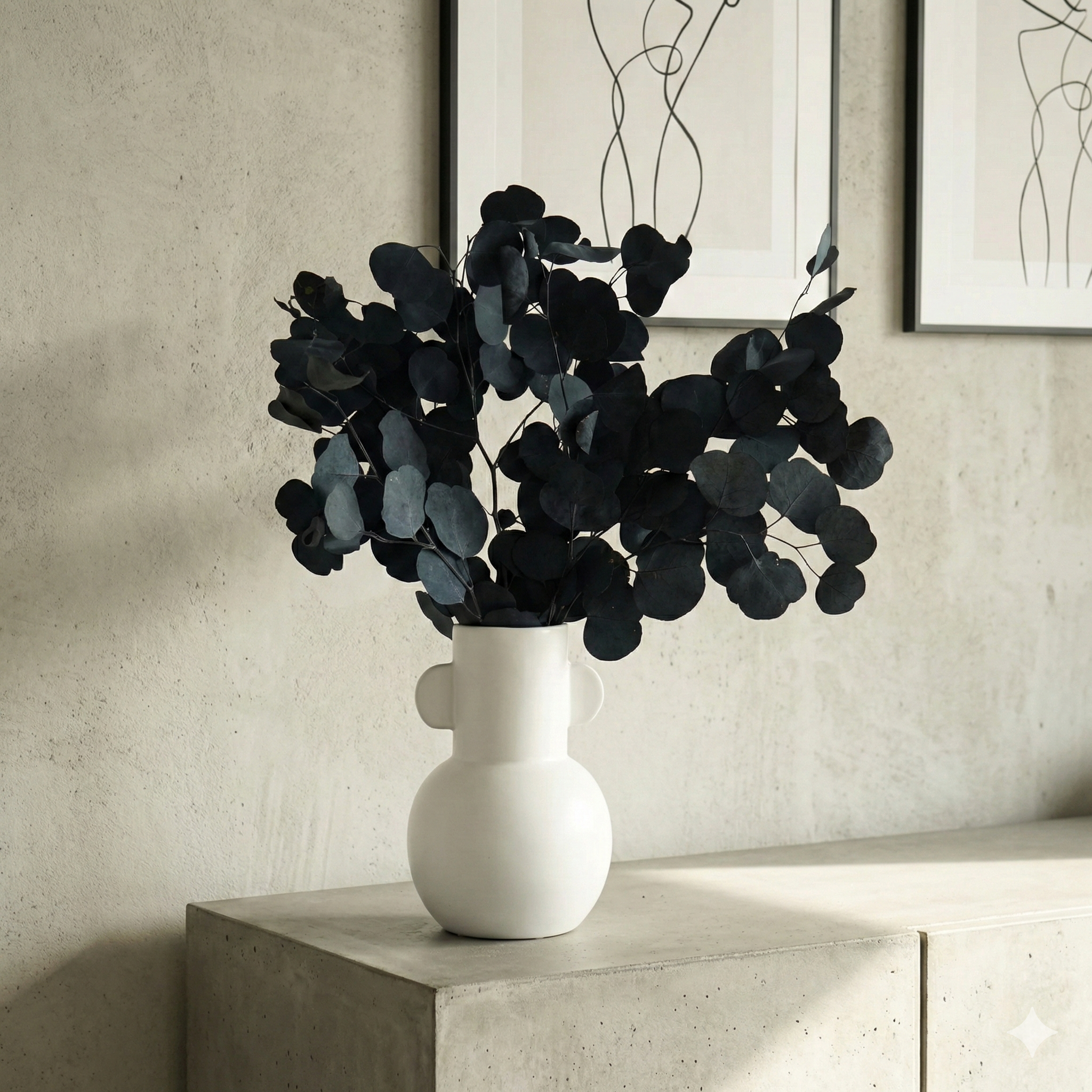 Eukalyptus Popolus - der Runde