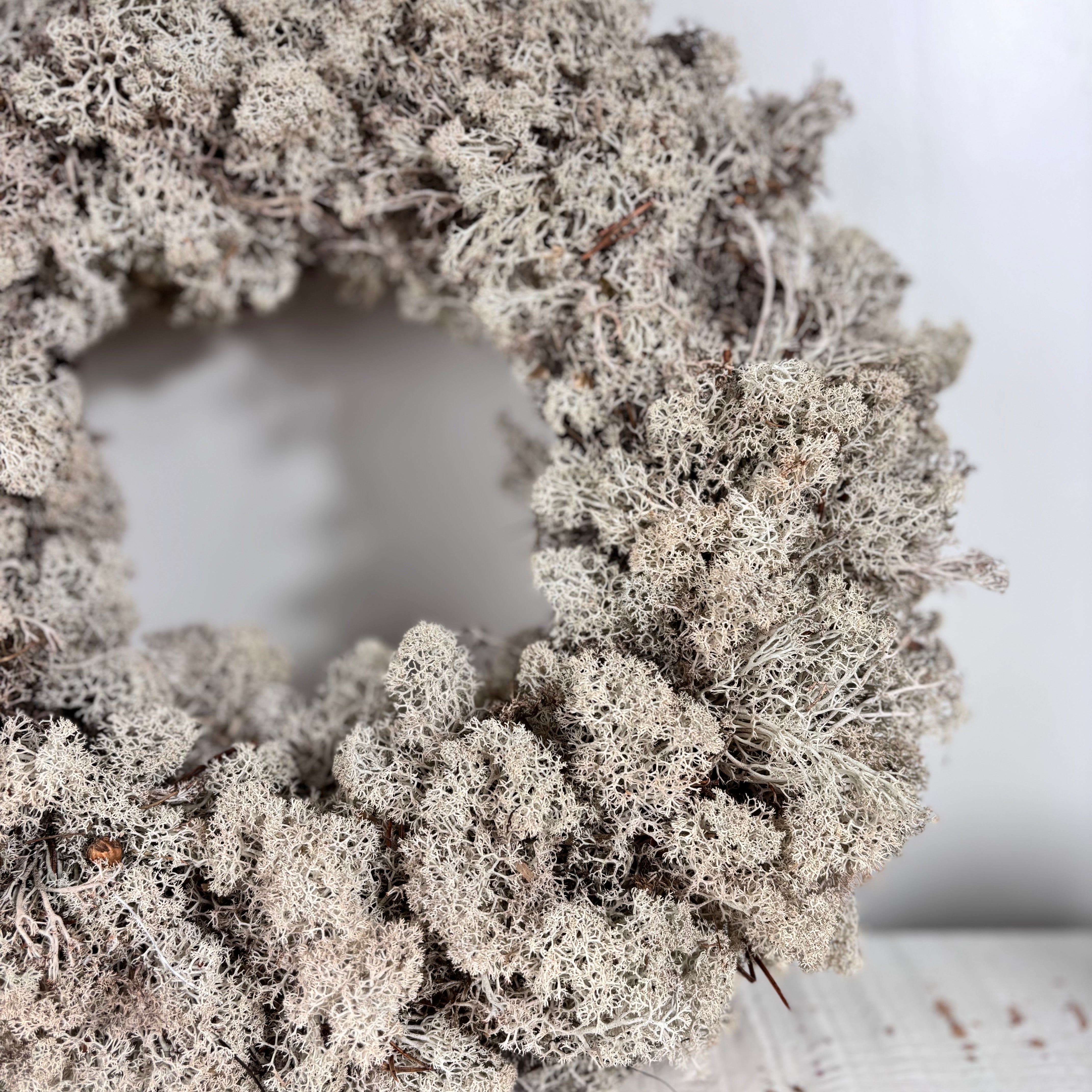 Reindeer moss: Icelandic reindeer moss wreath - natural