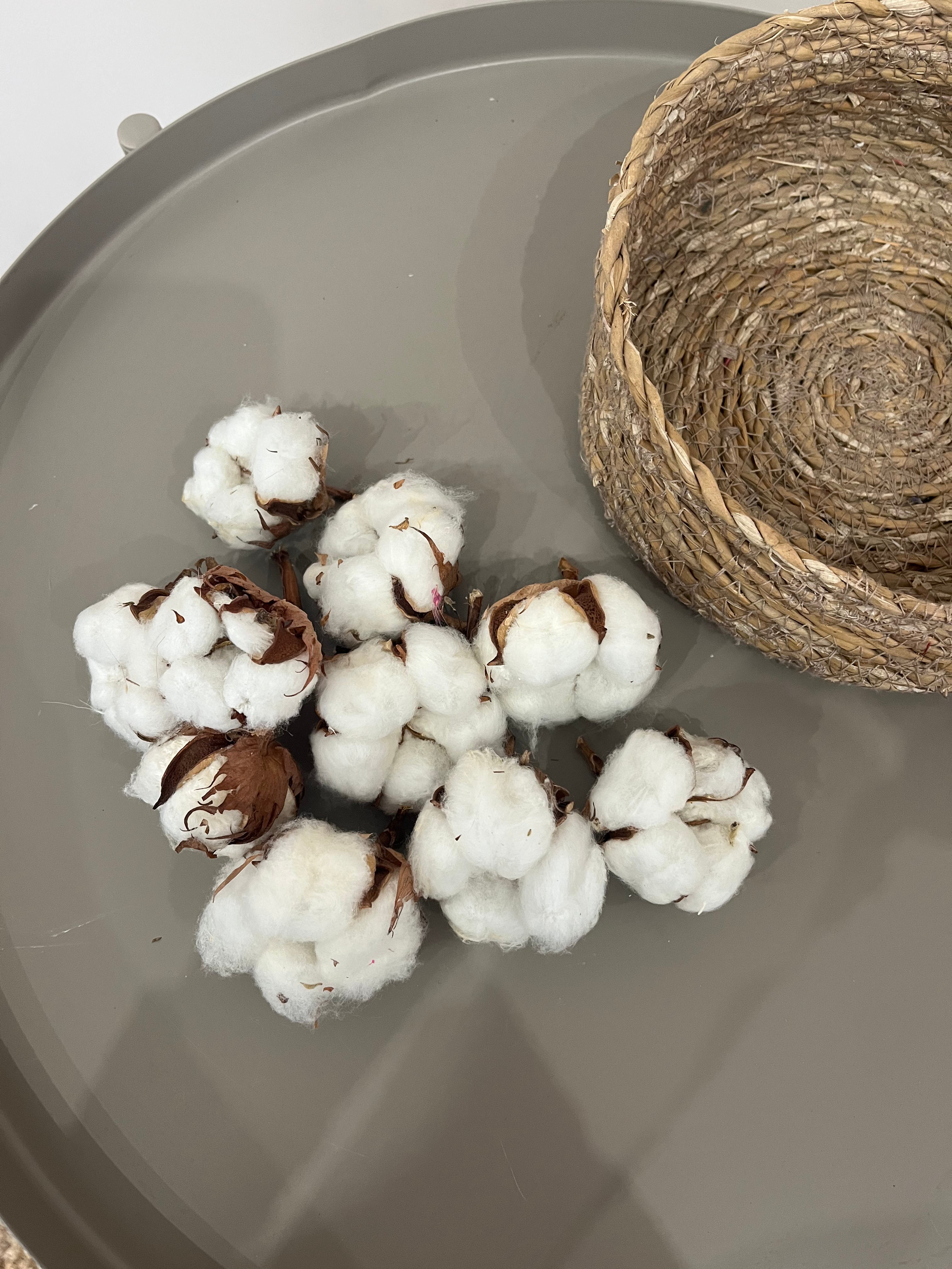 Getrocknete Baumwollköpfe 10 Stück - DIY