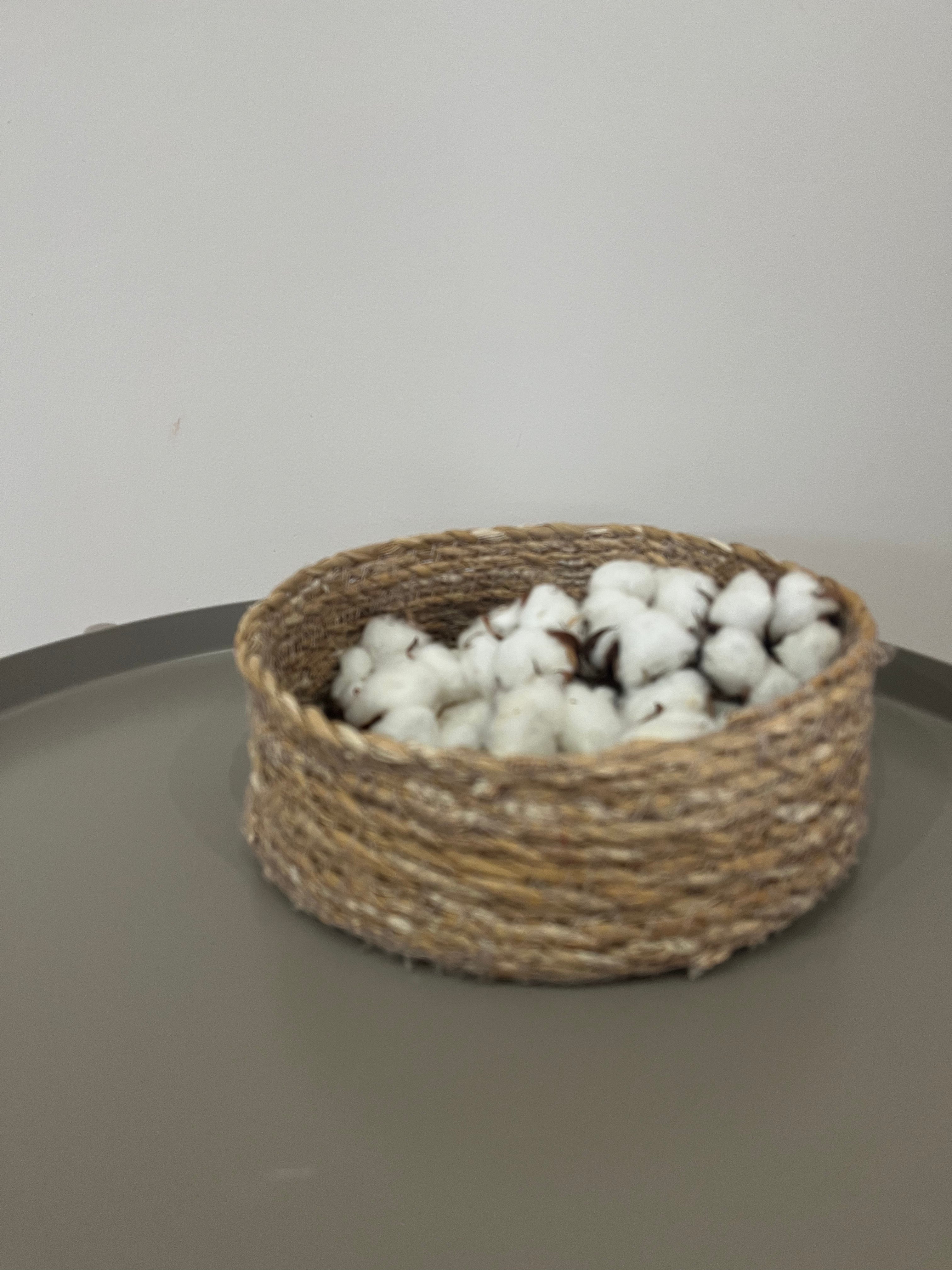 Getrocknete Baumwollköpfe 10 Stück - DIY