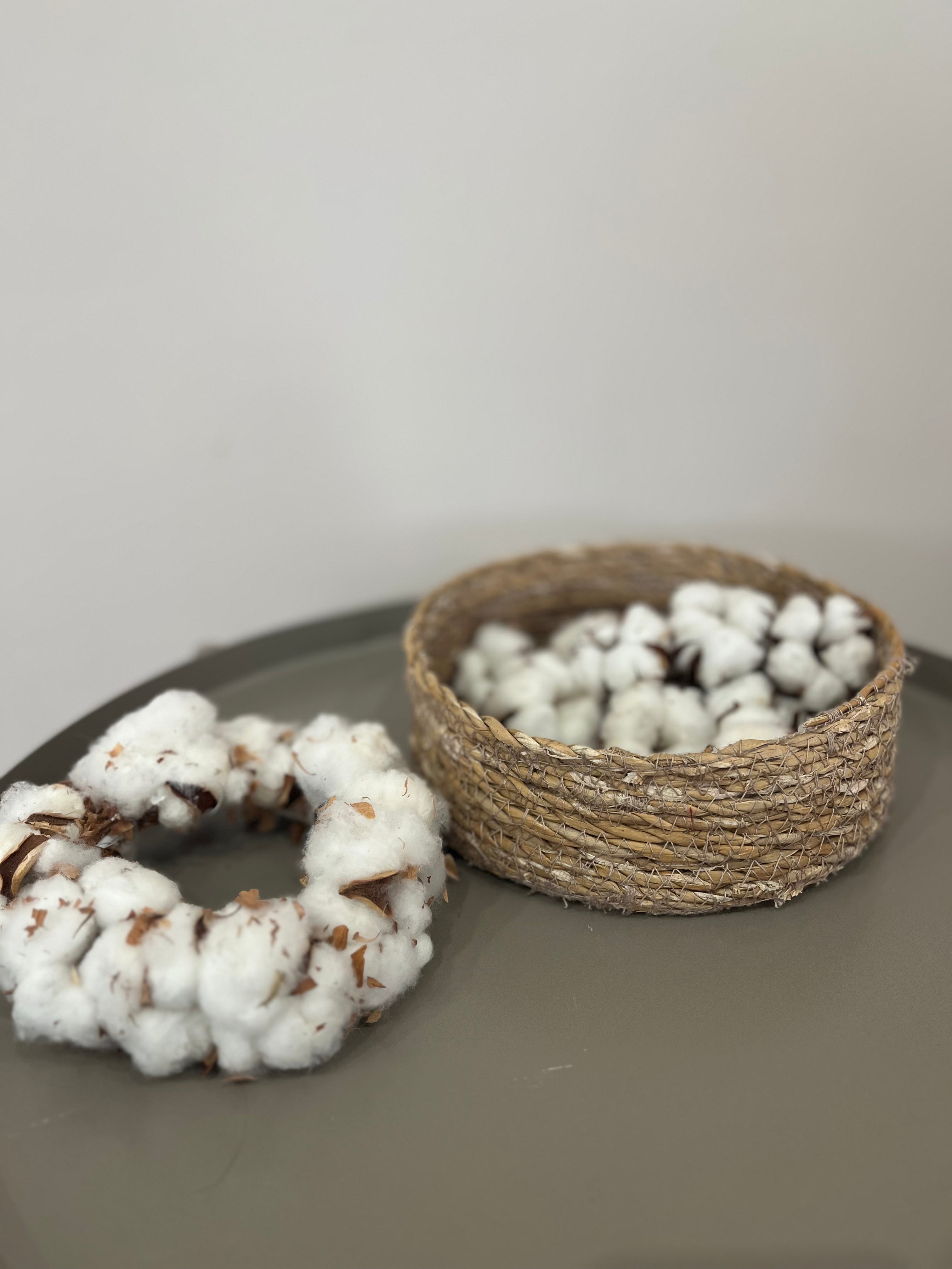 Getrocknete Baumwollköpfe 10 Stück - DIY