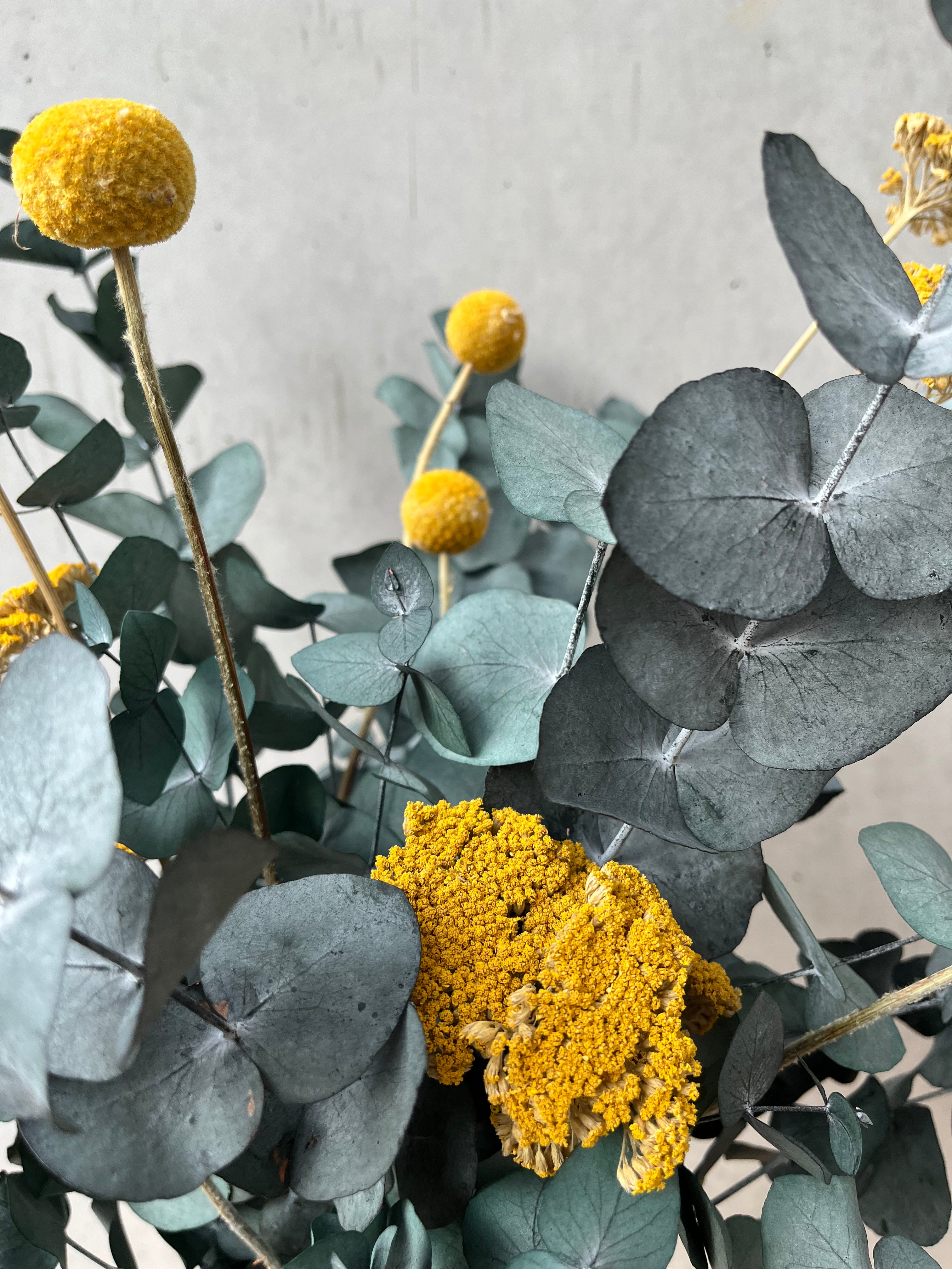 Pop of Color: Eukalyptus yellow