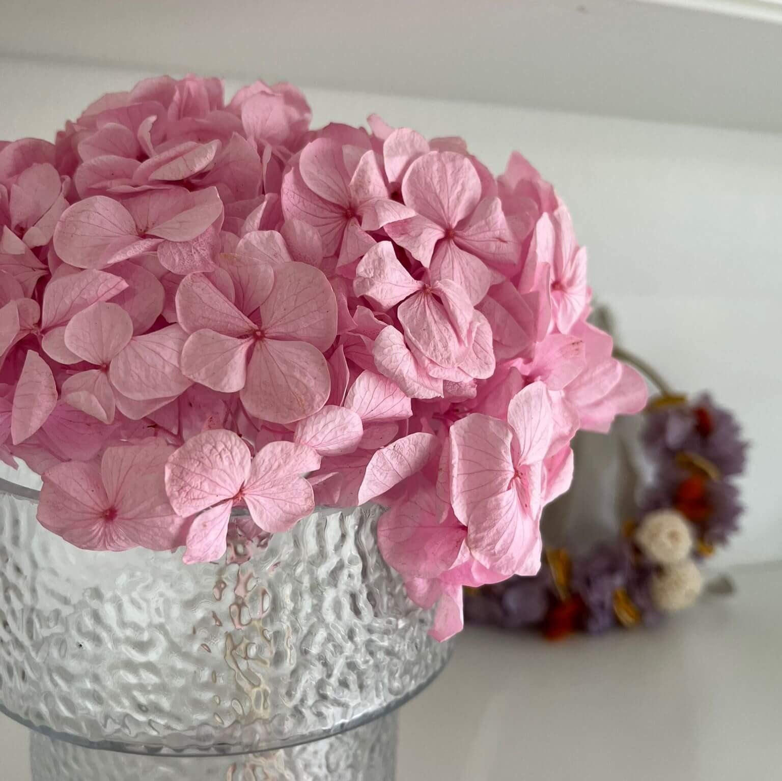 Hydrangea: Timeless beauty, preserved hydrangeas as perfect decoration