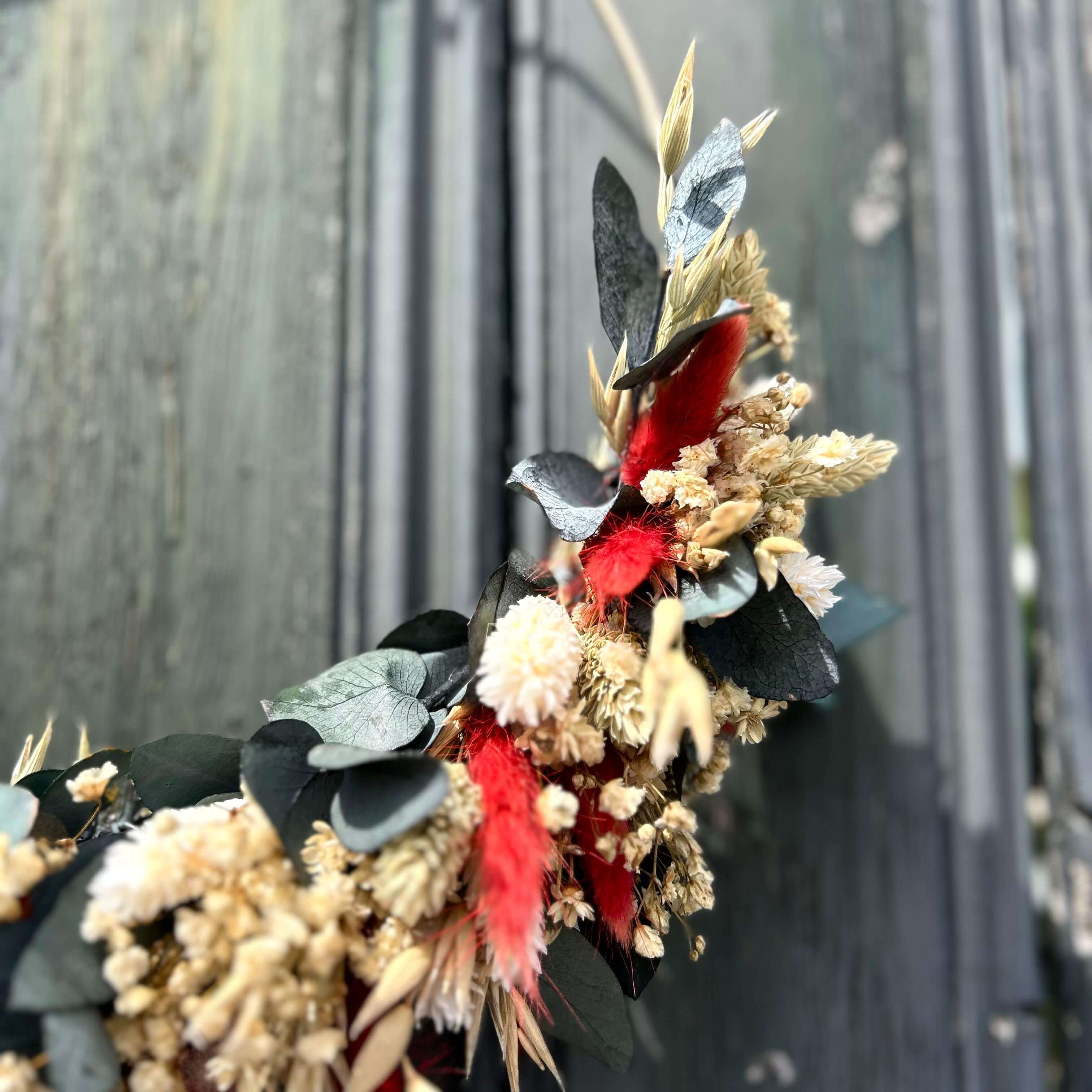 Ember in the Green: half-tied wreath of Eukalyptus Cinerea with red Lagurus