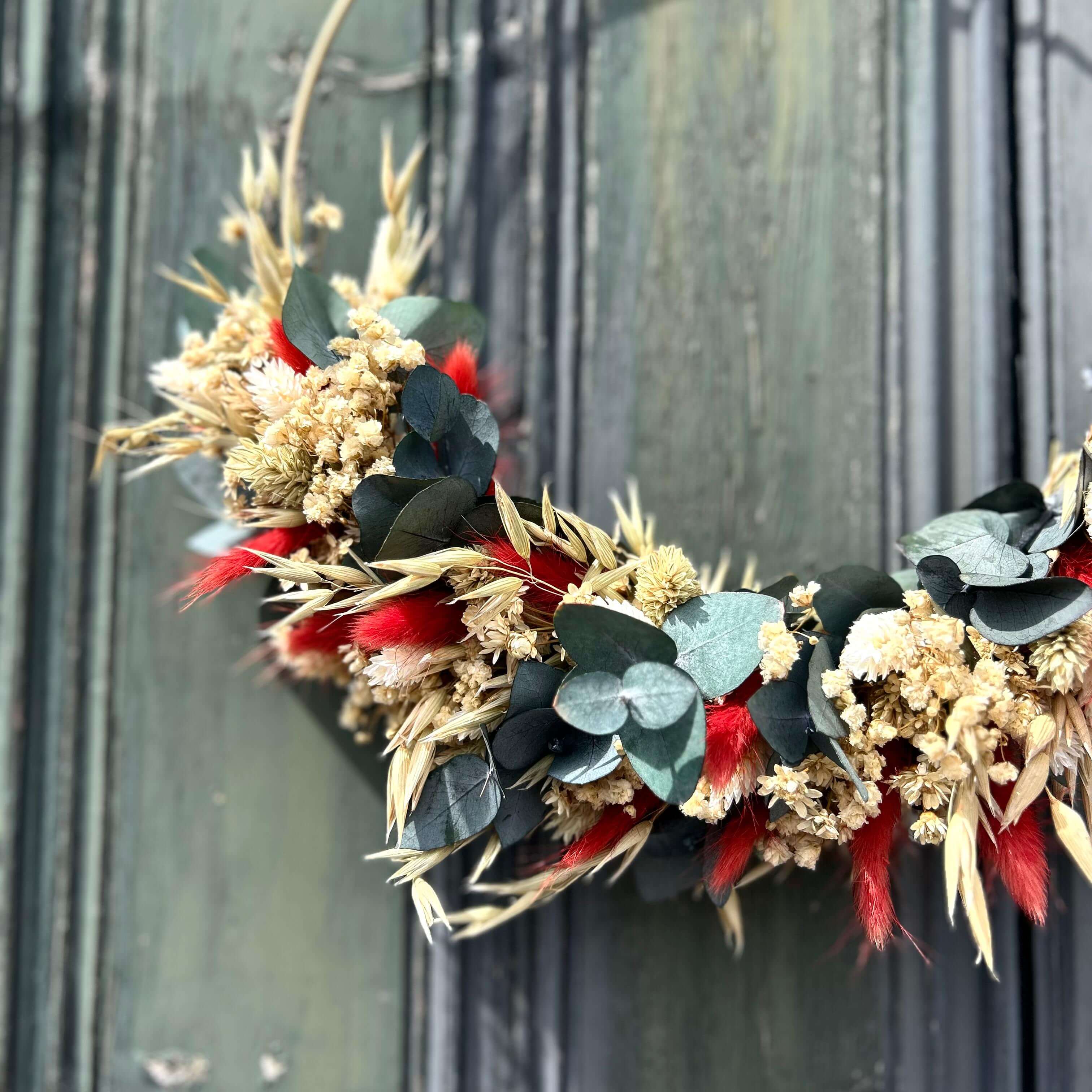 Ember in the Green: half-tied wreath of Eukalyptus Cinerea with red Lagurus