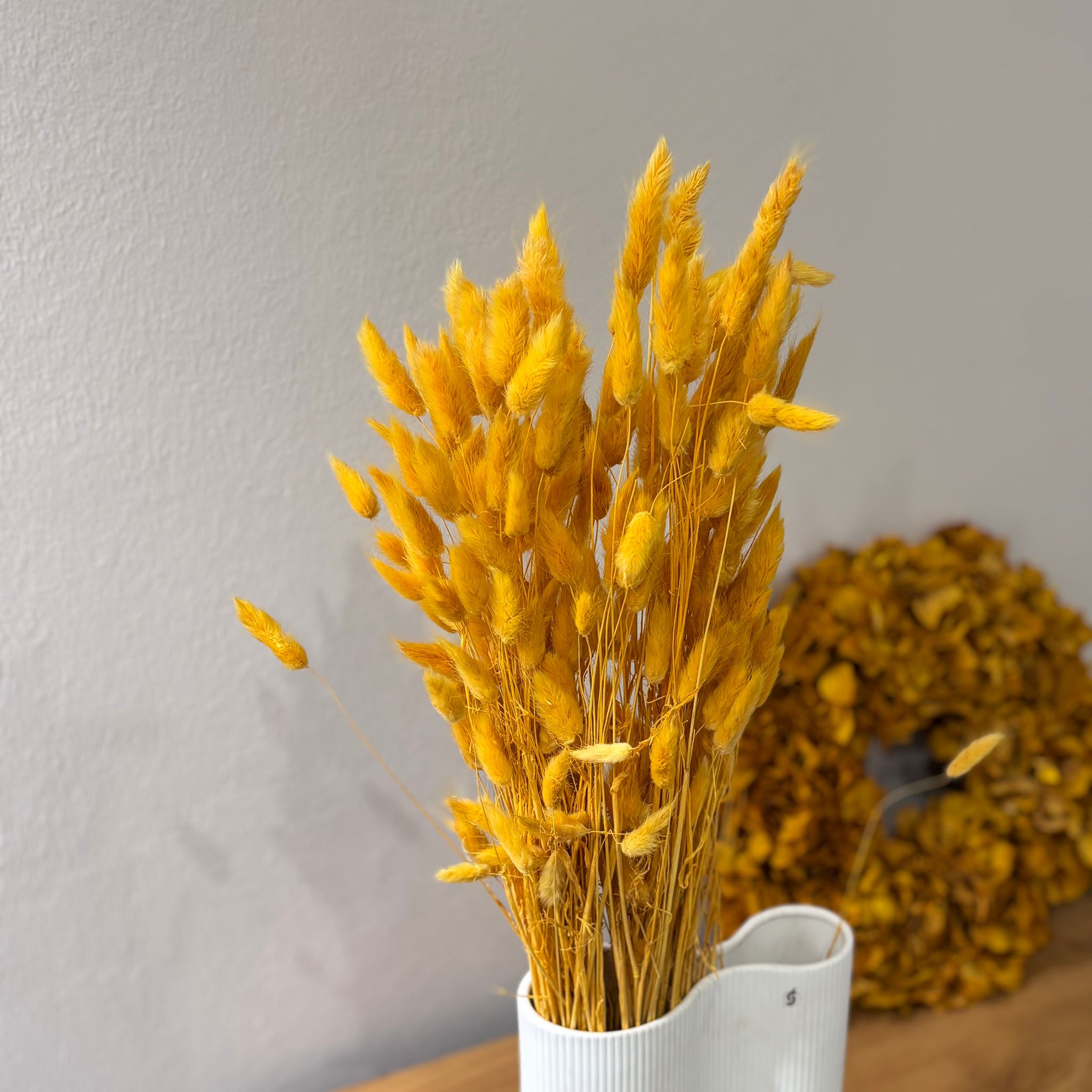 Lagurus | Samtgras | Hasenschwanz 60cm gelb - Outlet