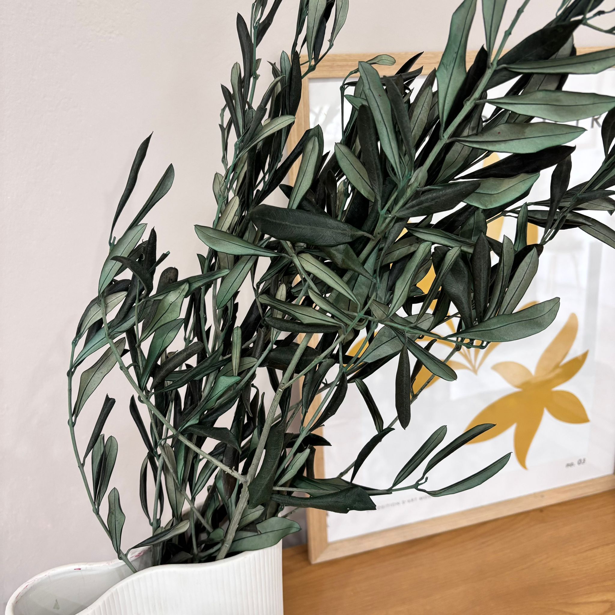 B-Ware Konservierte Olivenzweige grün aus Italien -Outlet