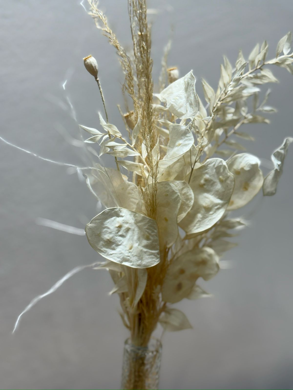 Trockenblumen Mini Strauß Lunaria weiß - Outlet