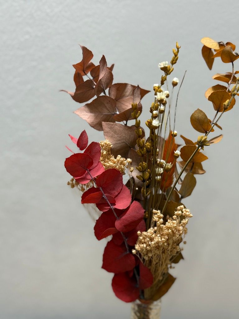 Trockenblumen Mini Strauß Eukalyptus rot - Outlet