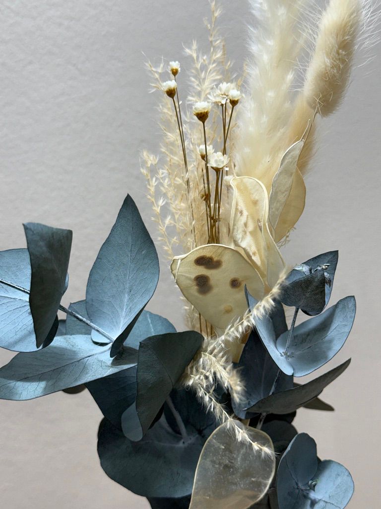 Trockenblumen Mini Strauß Eukalyptus Lunaria Pampasgras - Outlet