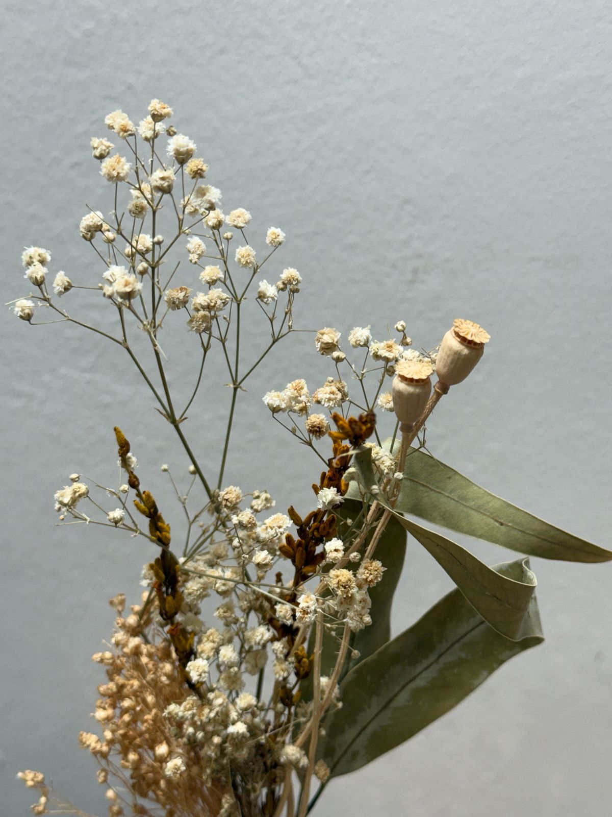 Trockenblumen Mini Strauß Schleierkraut - Outlet