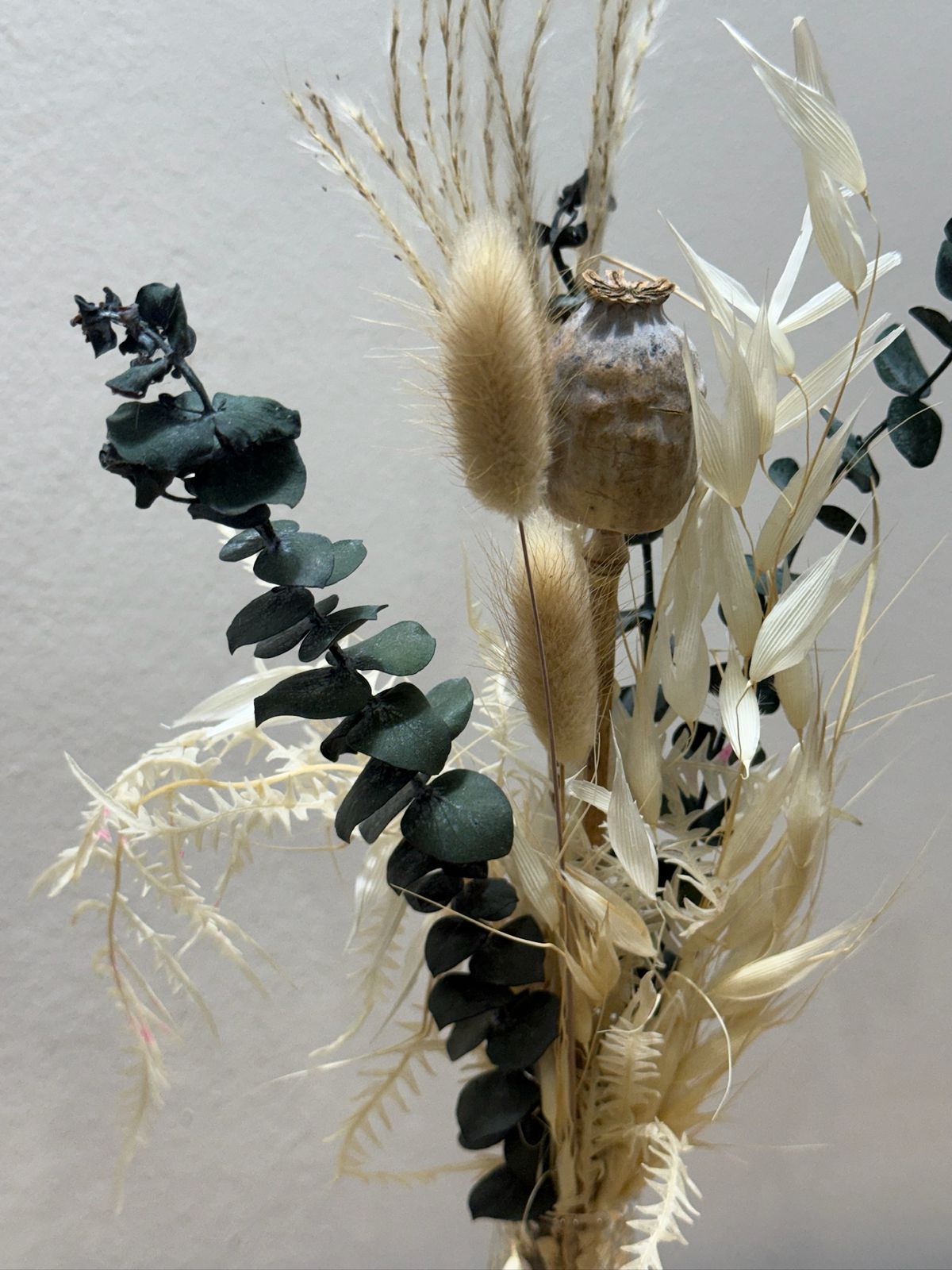 Trockenblumen Mini Strauß Eukalyptus Mohn - Outlet