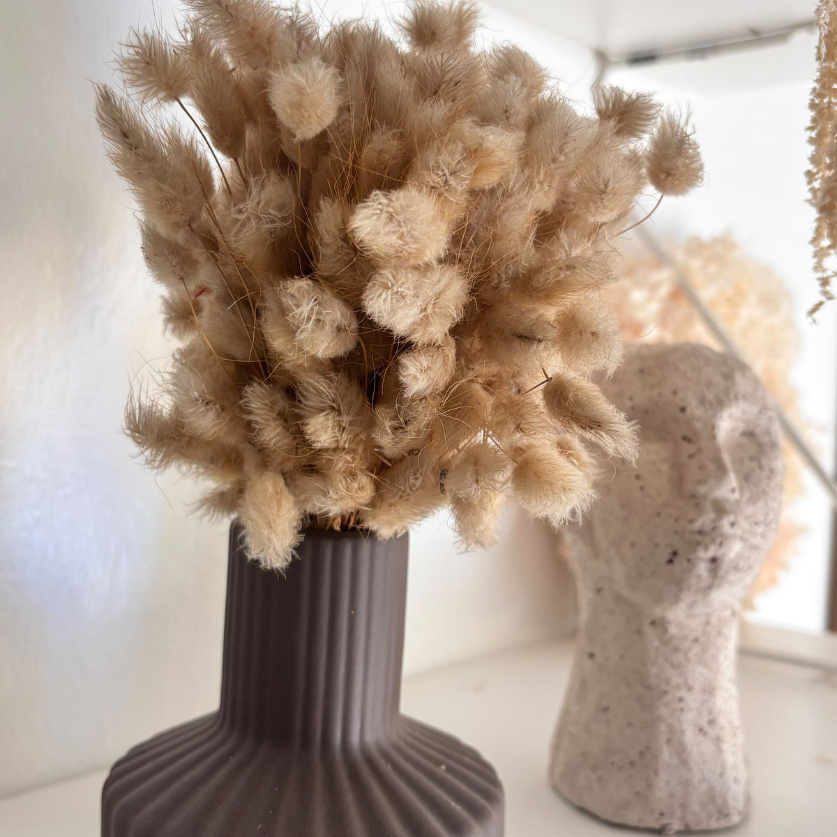 Lagurus Mini Bund beige - OUTLET
