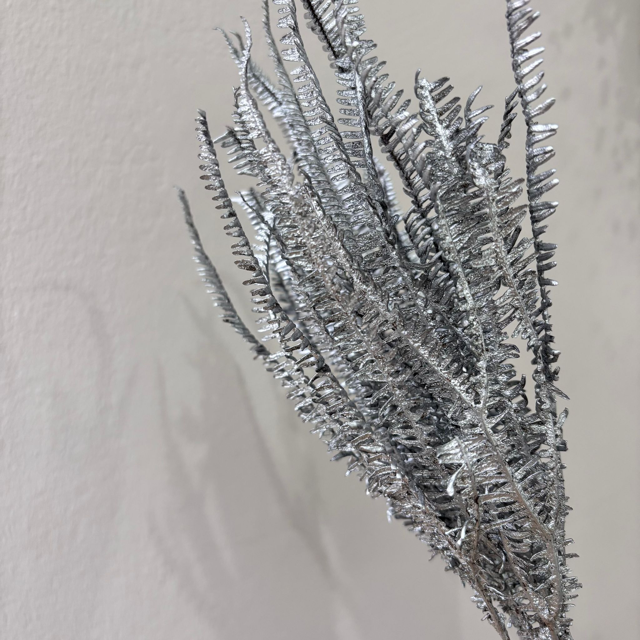 Preserved fern: magical moments for your home