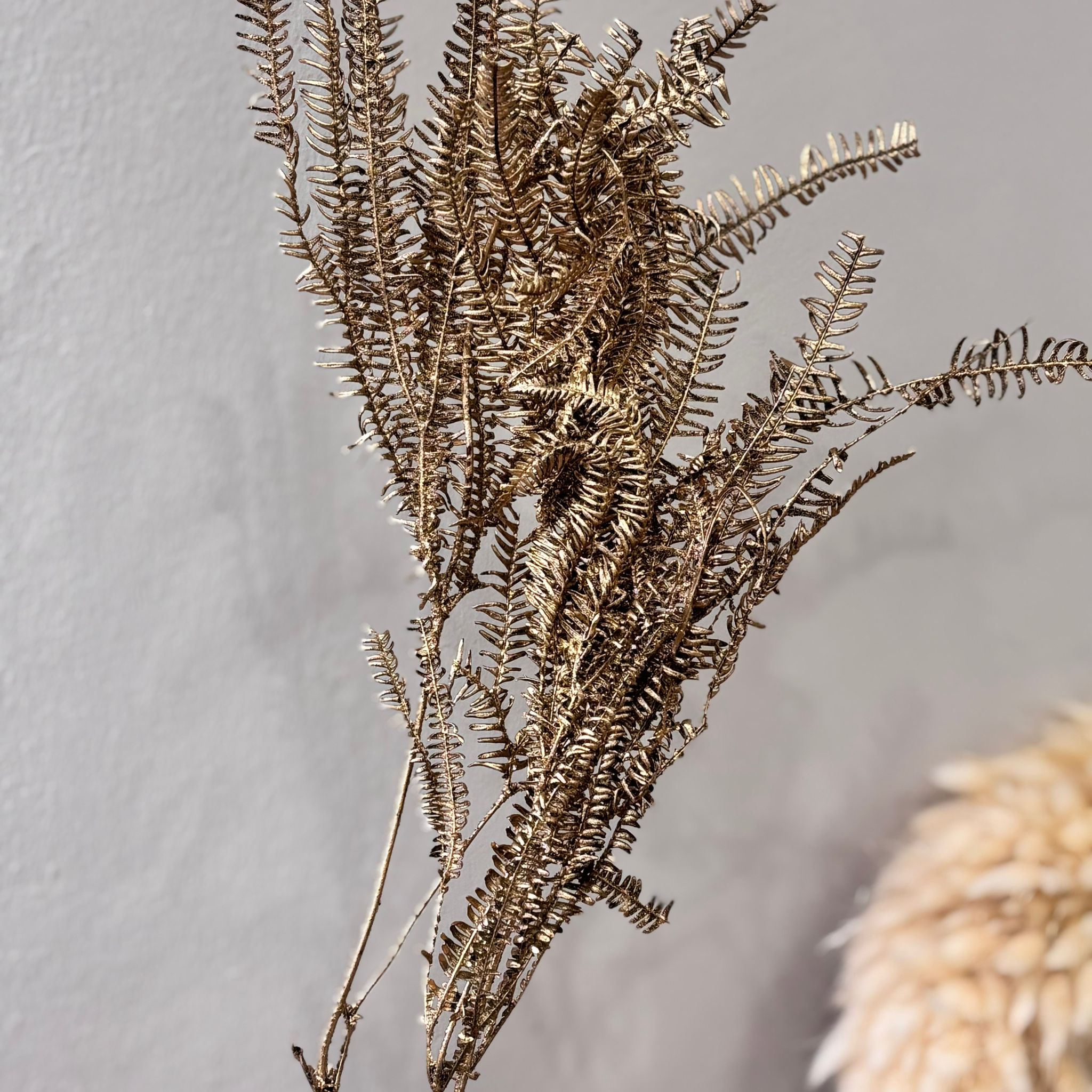 Preserved fern: magical moments for your home