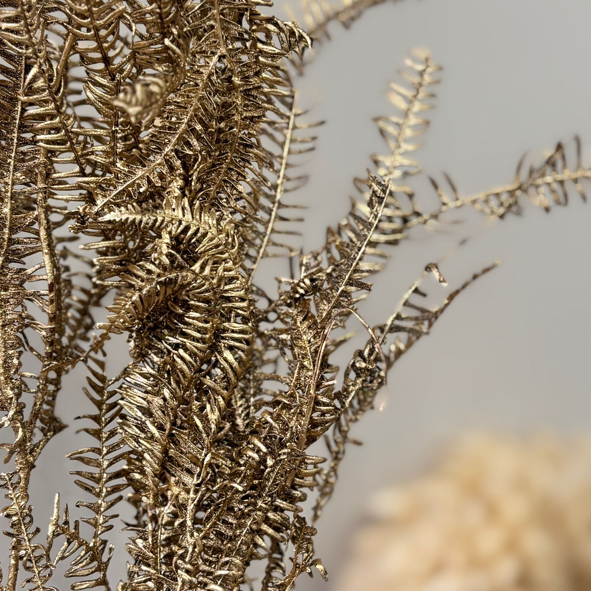 Preserved fern: magical moments for your home
