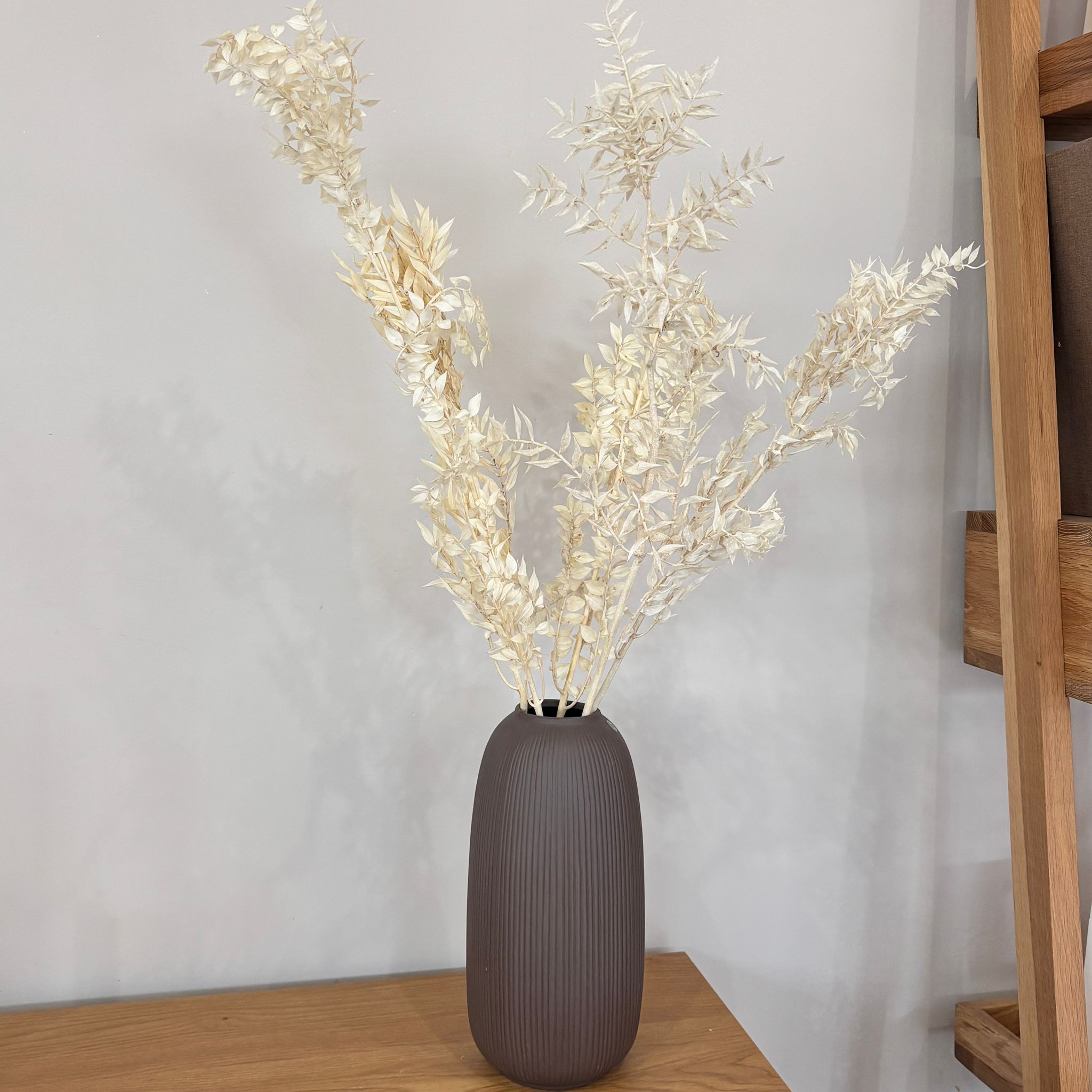 Ruskus / Mäusedorne konserviert - OUTLET