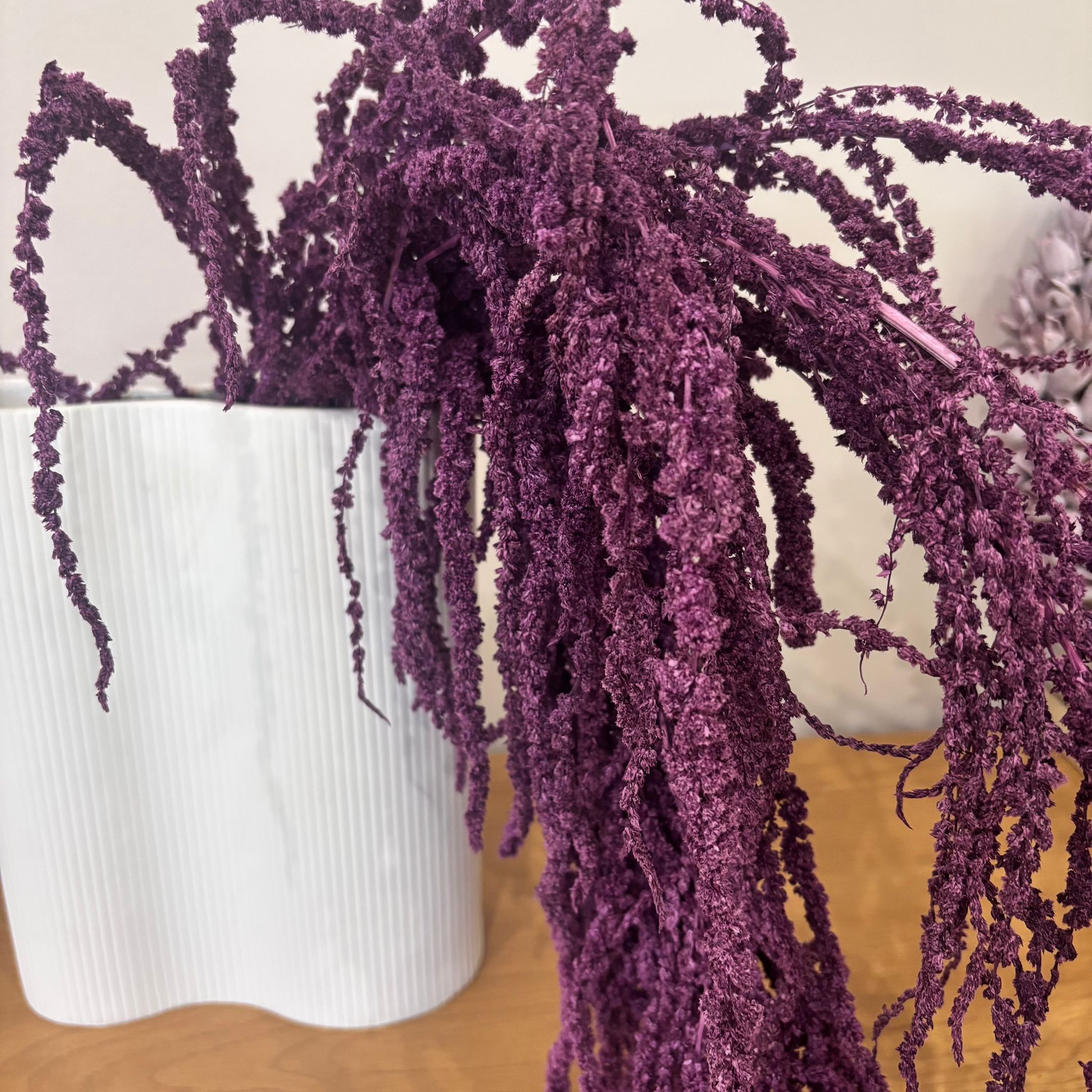 amaranth