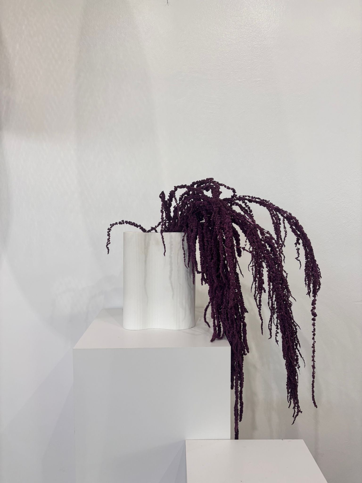 amaranth