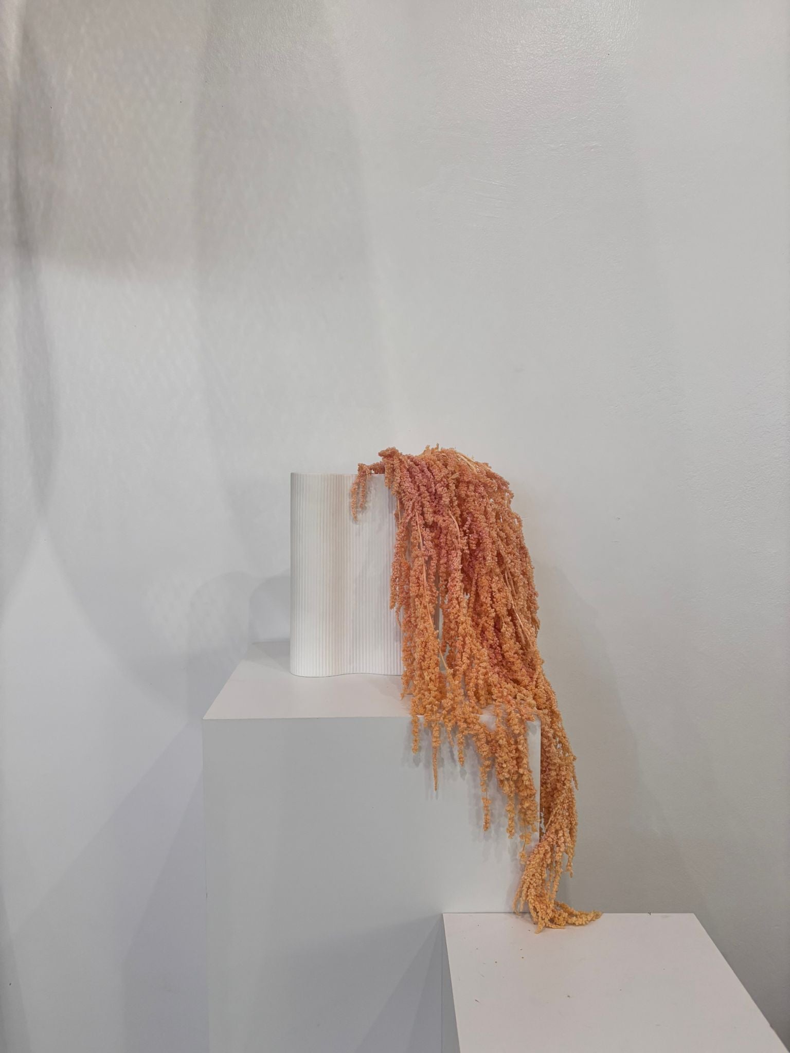 amaranth
