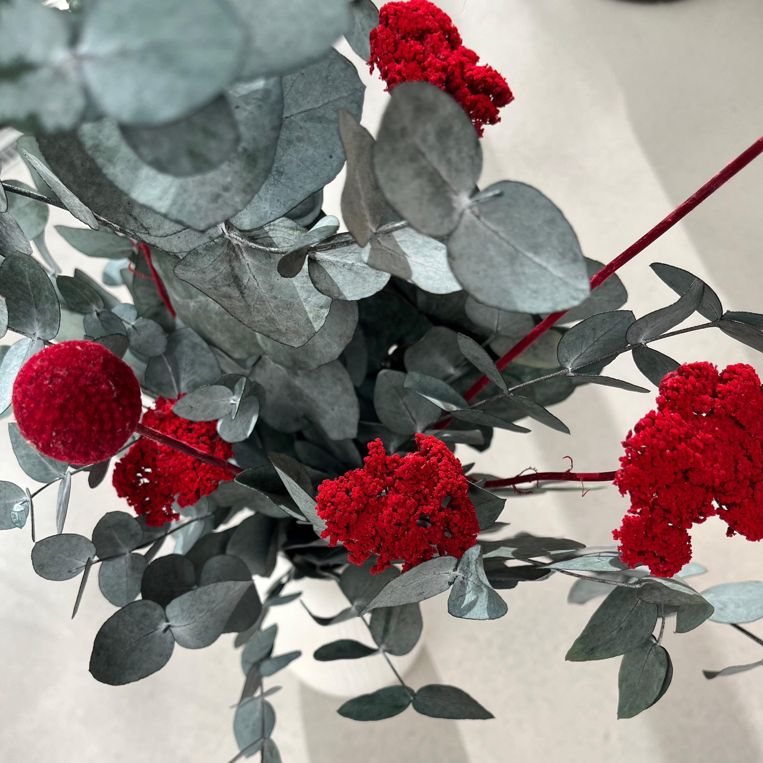 Pop of Color: Eukalyptus red - Lykke&You GmbH