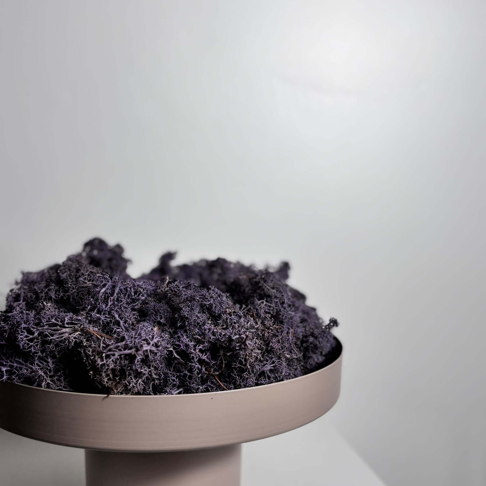 Reindeer-Moos: Isländischer Reindeermooskranz - lila - Lykke&You GmbH