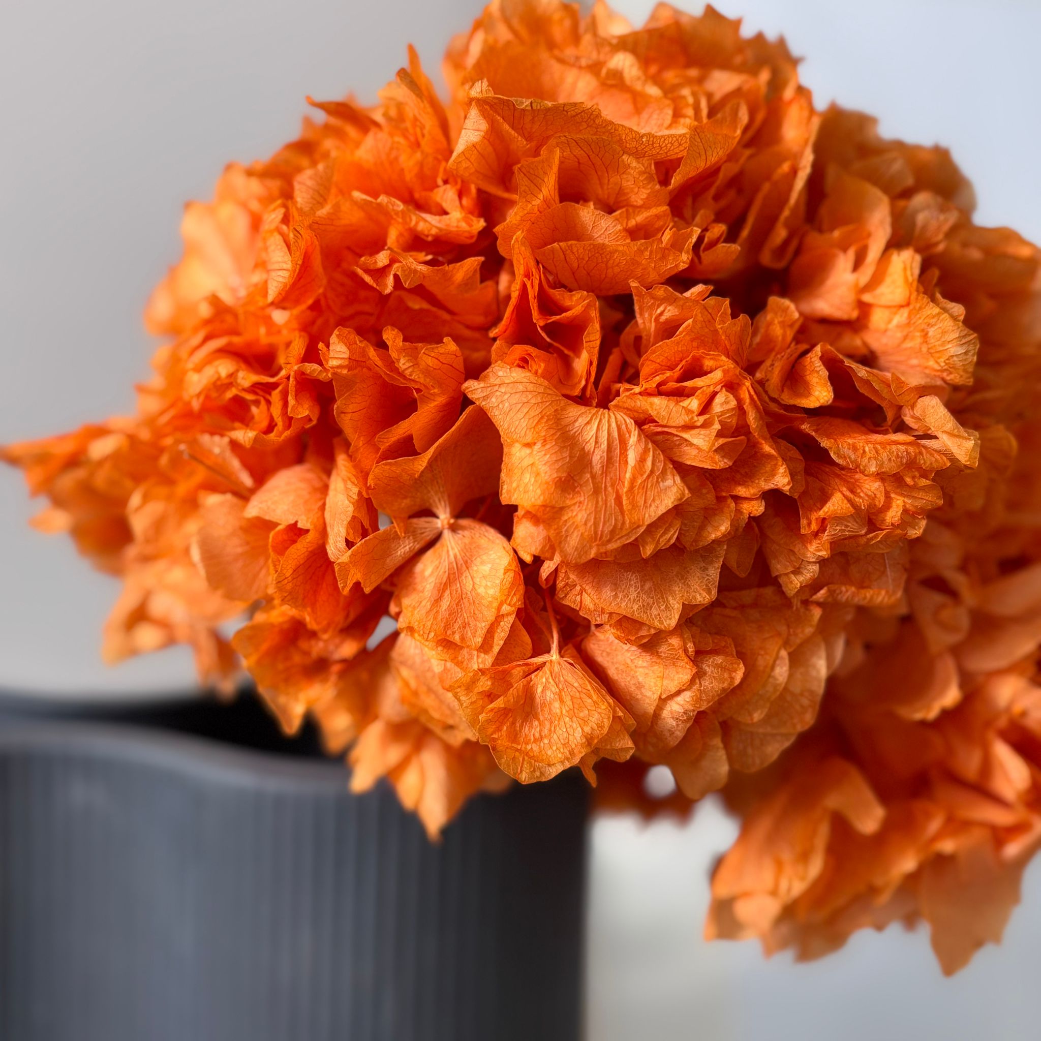 orange 30cm
