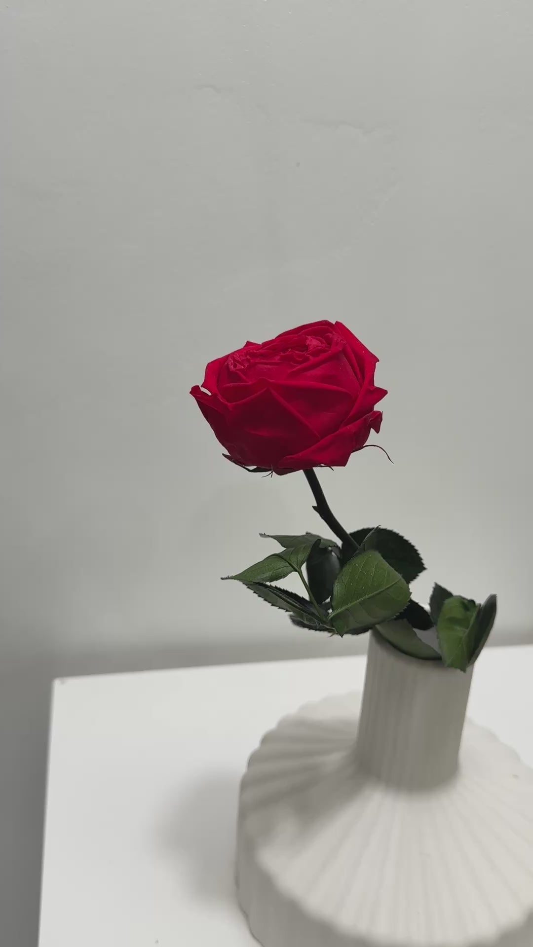 rot