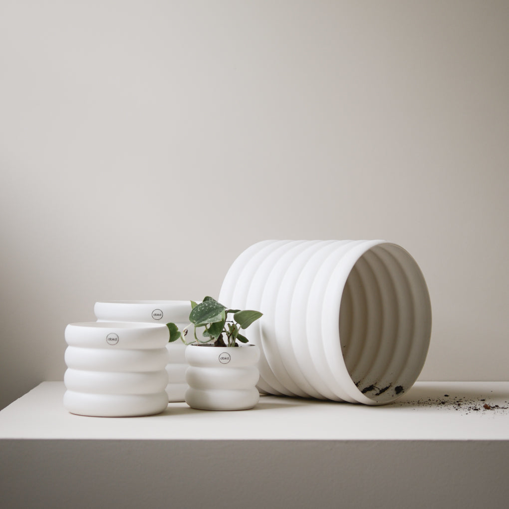 dbkd Mud Pot Small mit Ringen