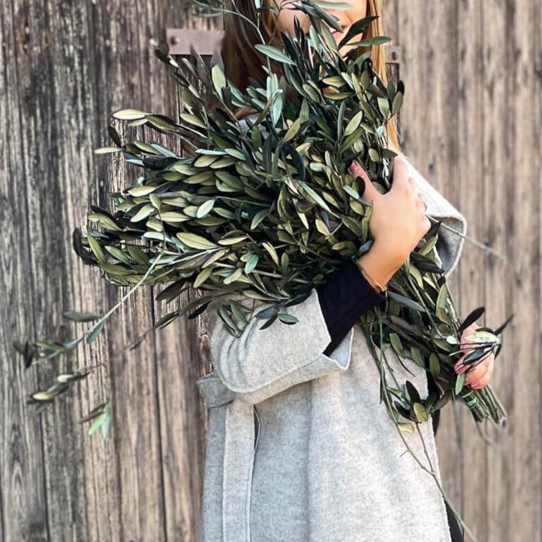 Preserved olive branches - natural decoration from Italy