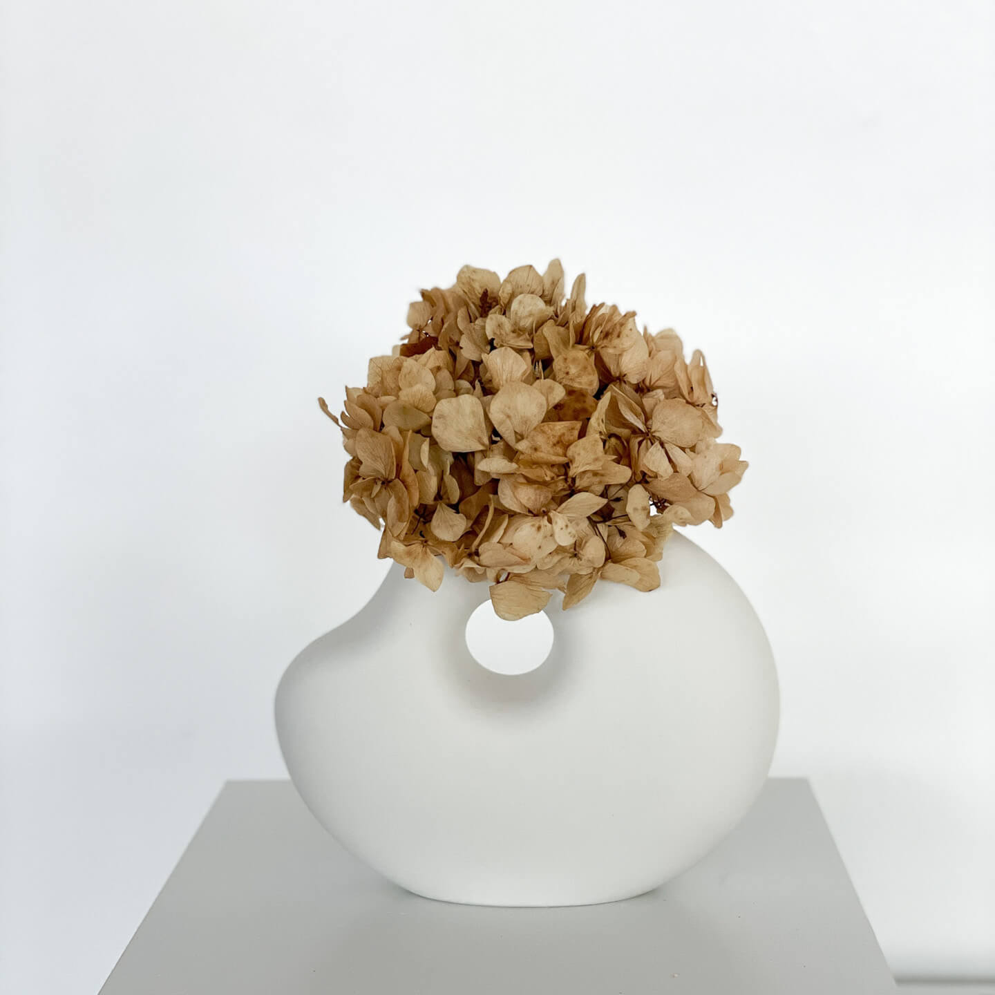 Hydrangea: Timeless beauty, preserved hydrangeas as perfect decoration