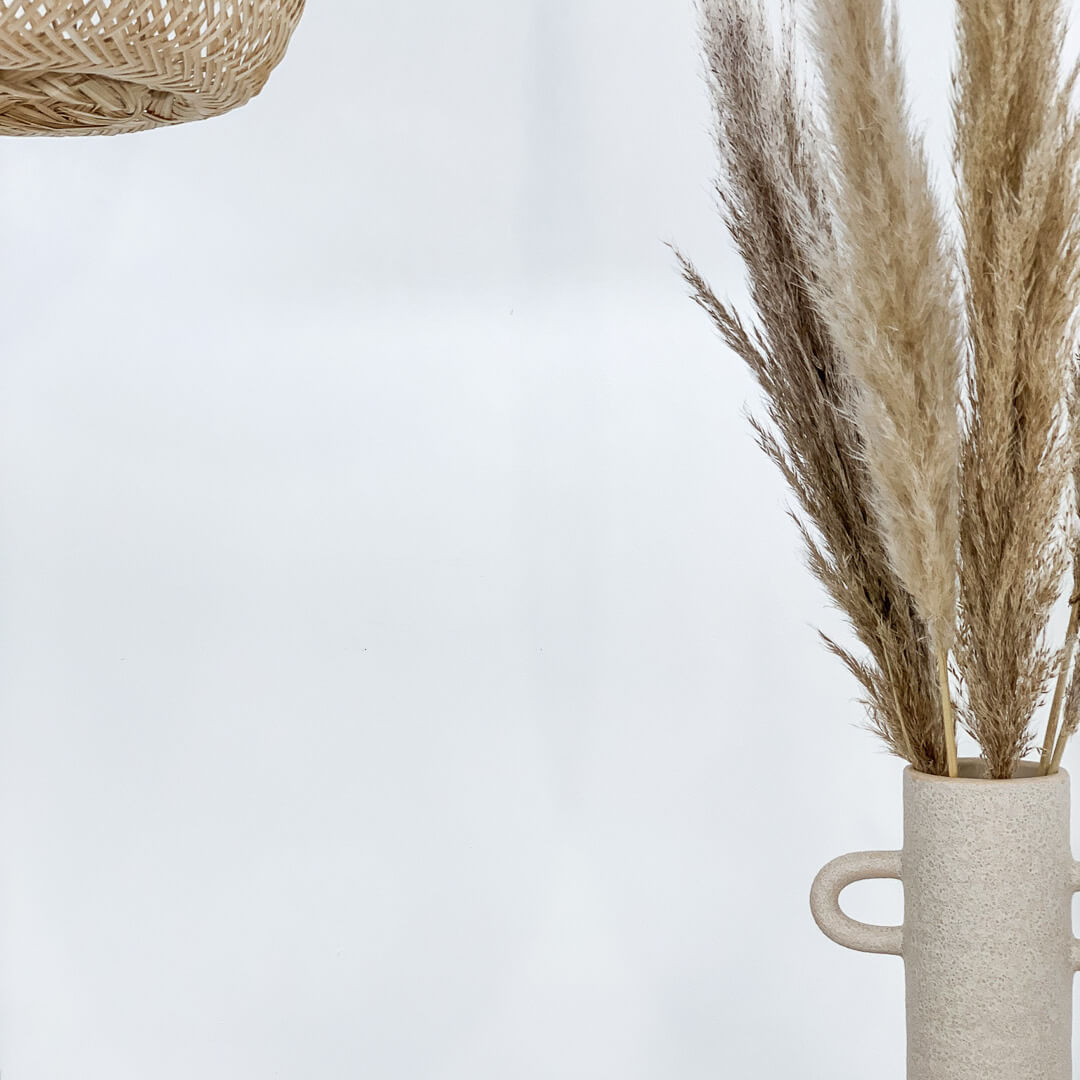 Pampasgras beige natur getrocknet für Tischvase - Farbe: beige