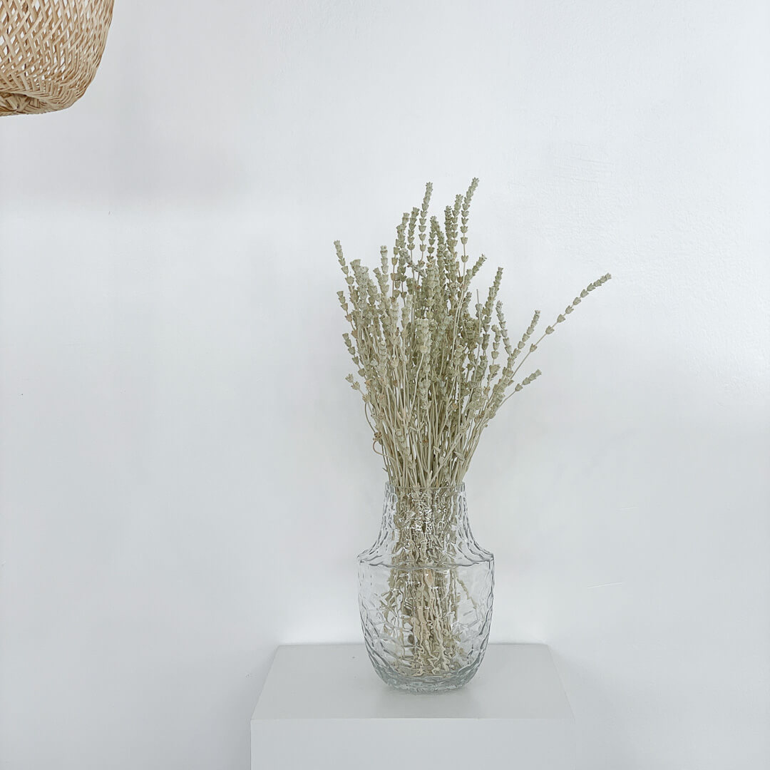 Trockenblume Lavendel I getrocknet I ca 40 cm I blau und rot - Farbe: weiß