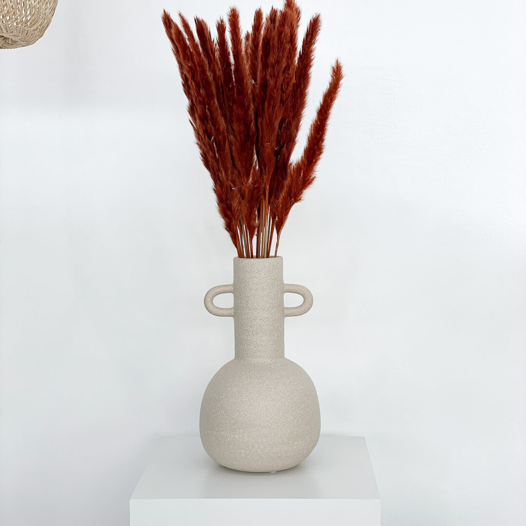Pampasgras Mini I 70 cm I Gut für Tischvasen | 
 - Farbe: terracotta