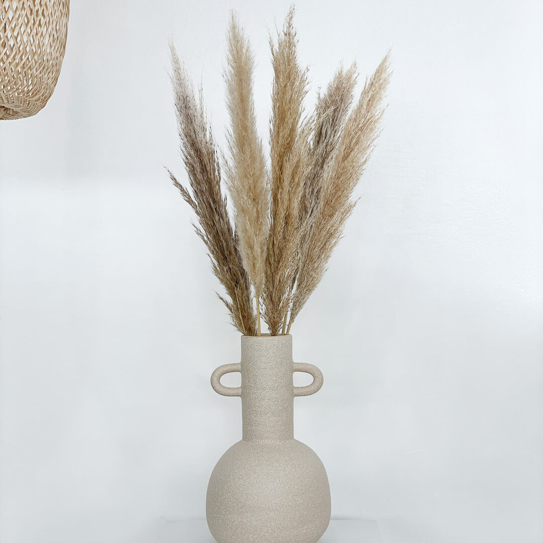 Pampasgras beige natur getrocknet für Tischvase - Farbe: beige