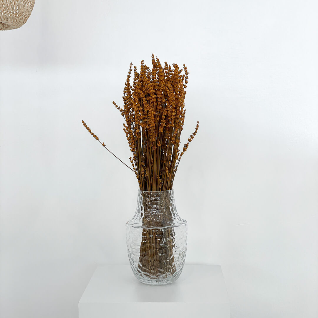 Trockenblume Lavendel I getrocknet I ca 40 cm I blau und rot - Farbe: terracotta