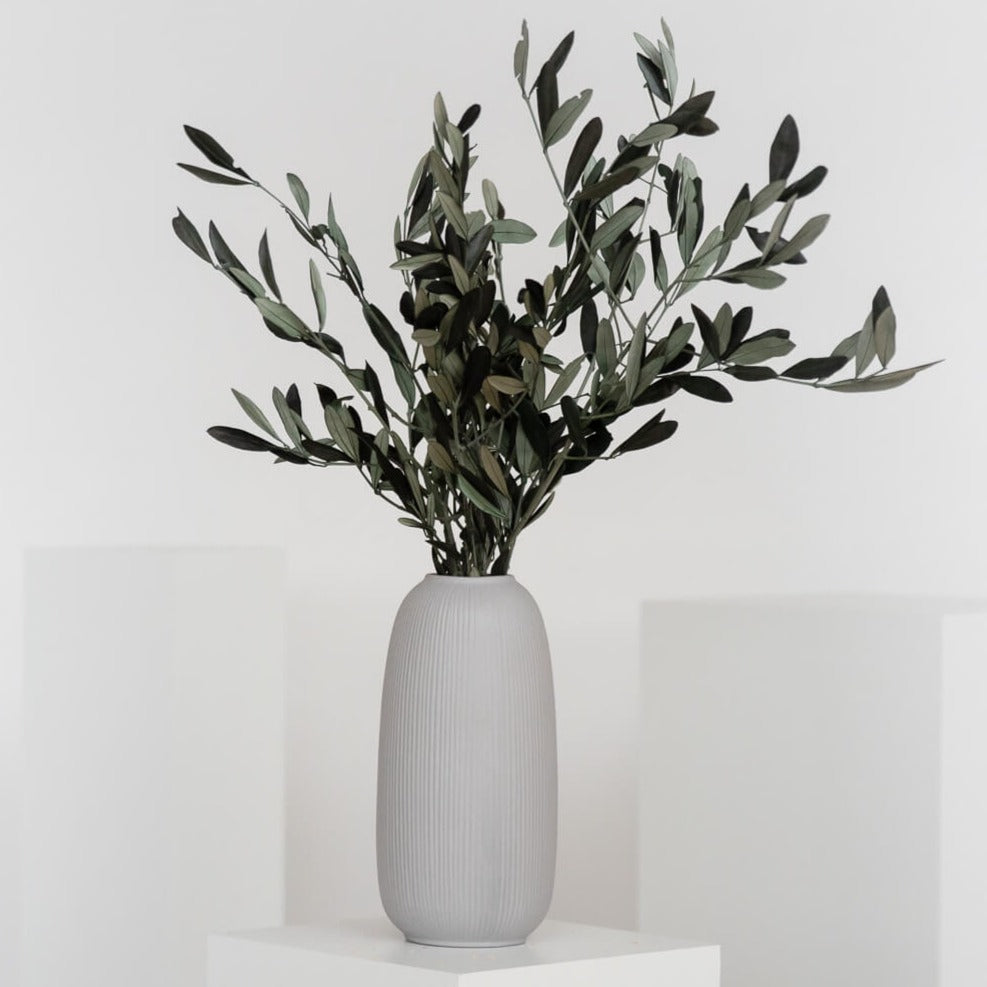 Preserved olive branches - natural decoration from Italy