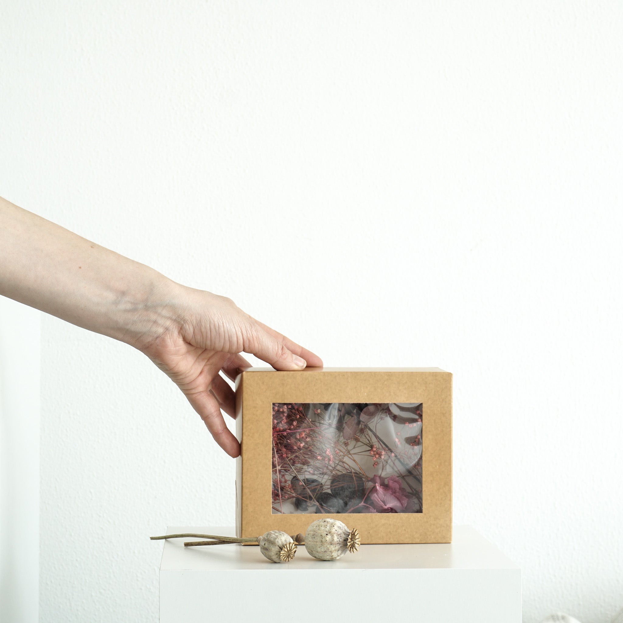 Trockenblumen Surprise Boxen für DIY Projekte | verschiedene Farben - DIY  rot
