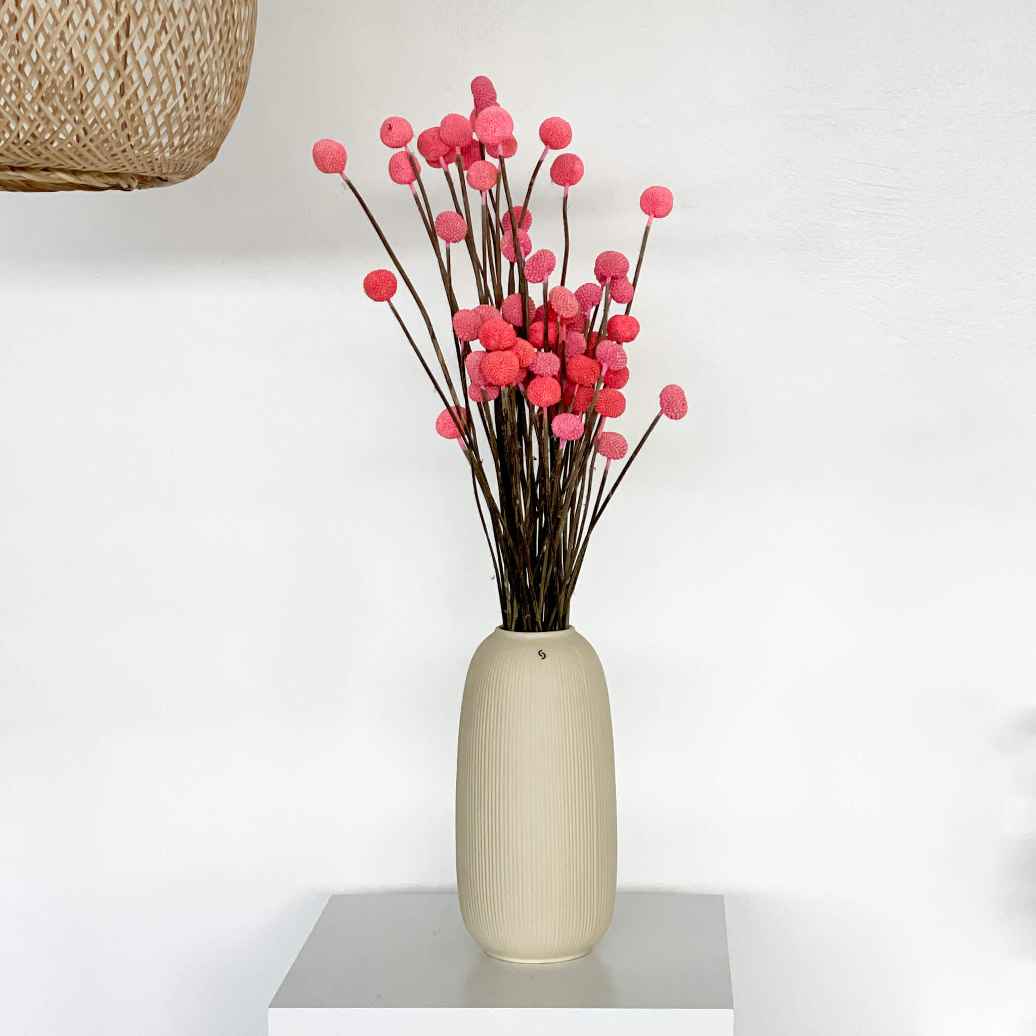  Farbe: pink