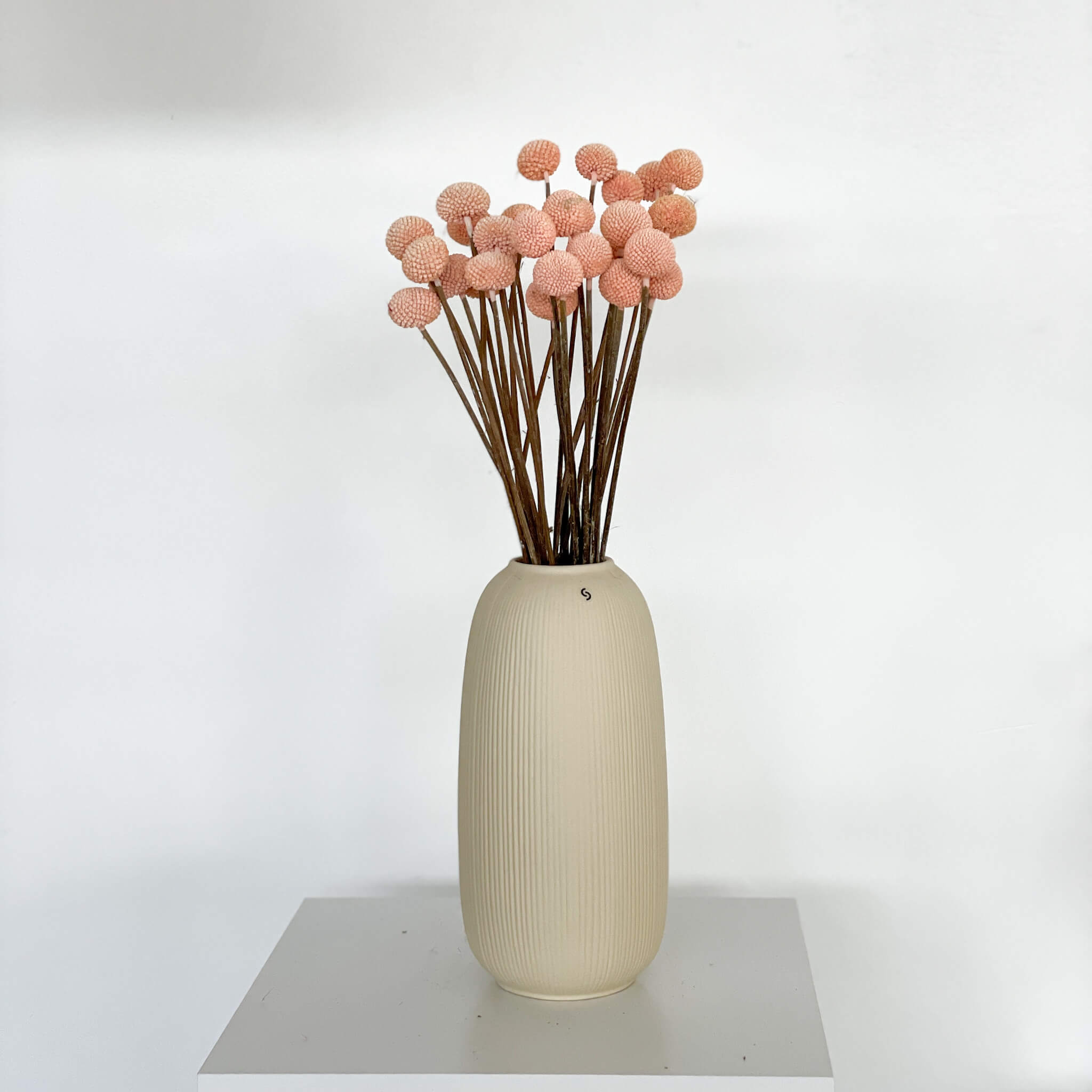 Farbe: apricot