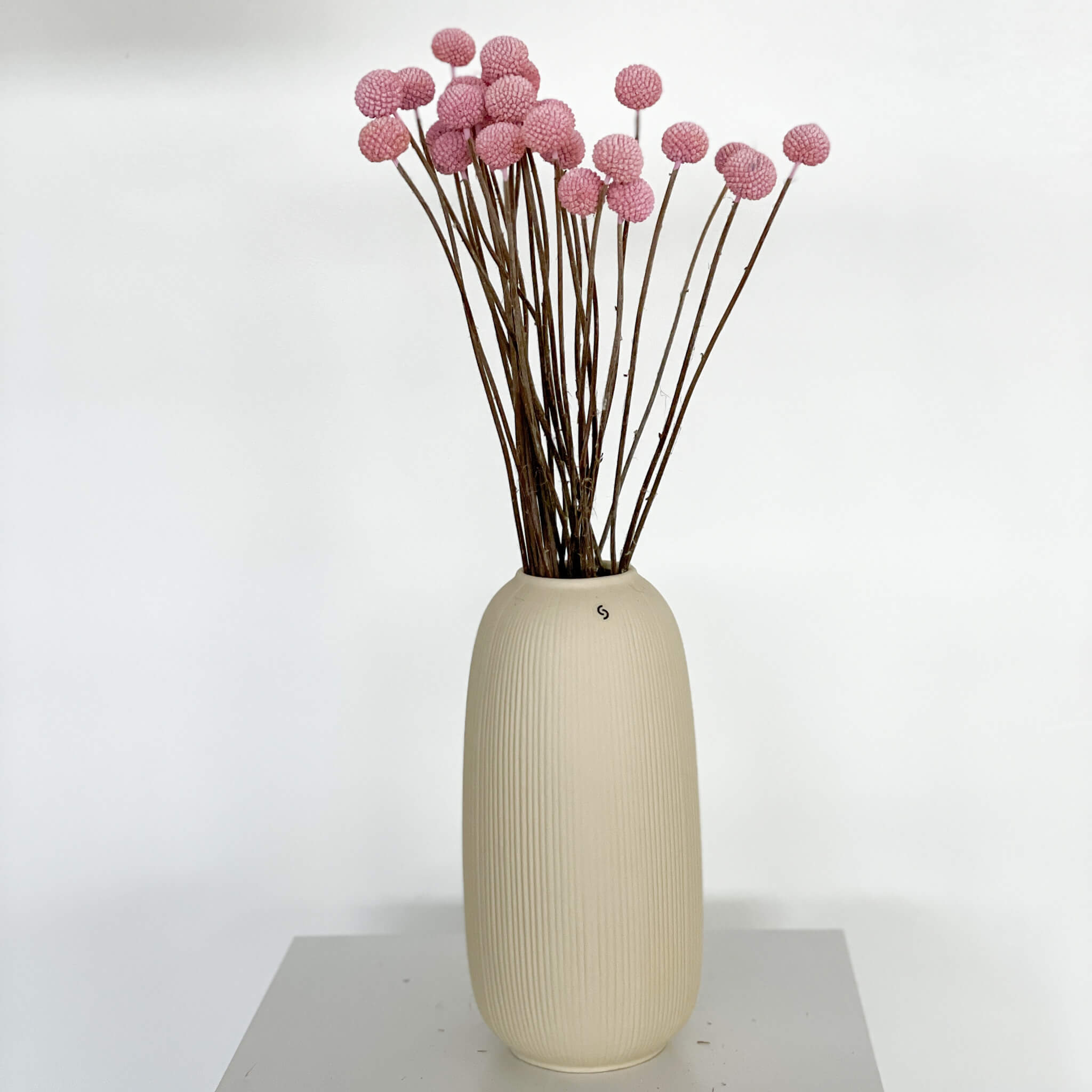  Farbe: rosa